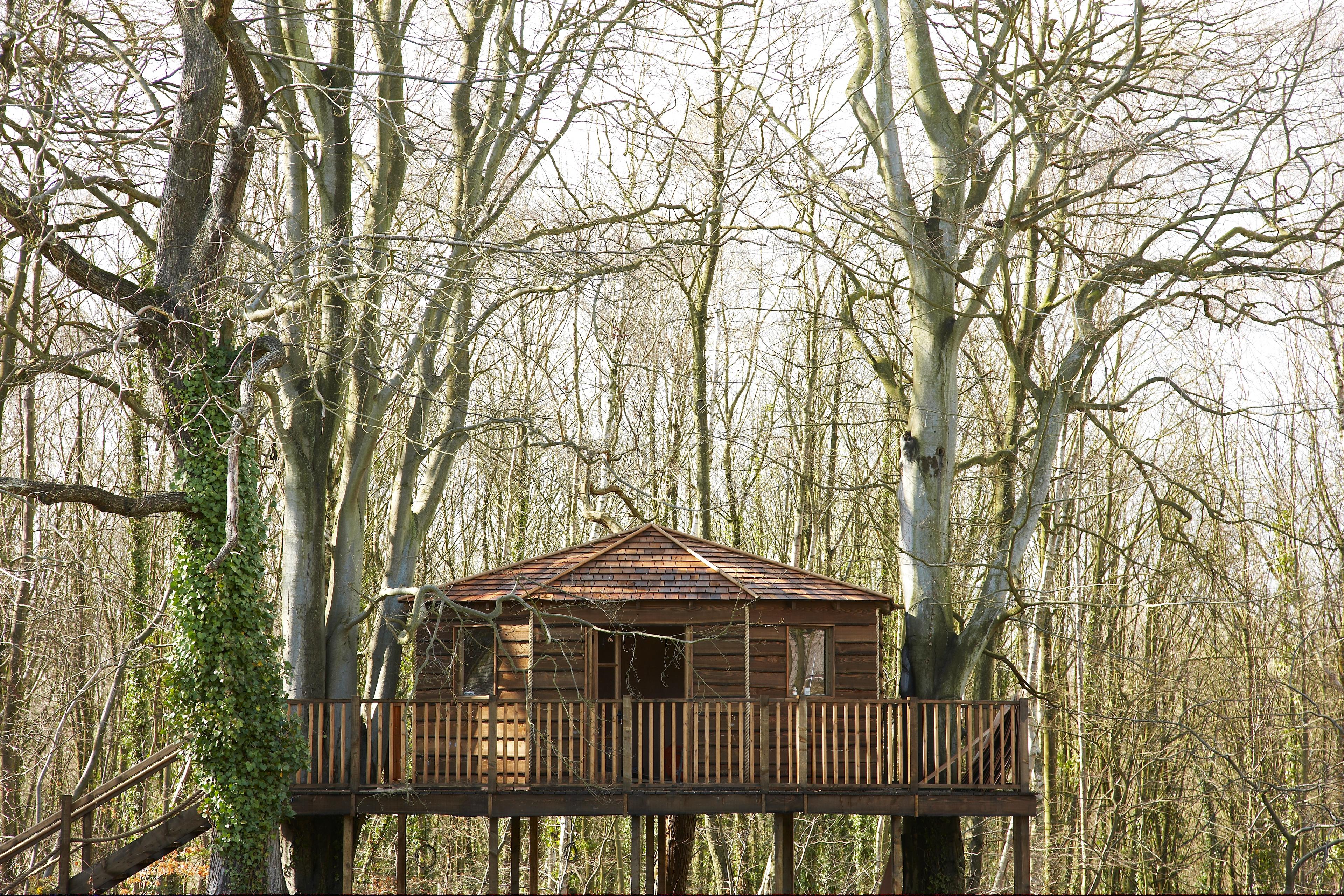The Tree House, New Place Hotel - Hampshire photo #1