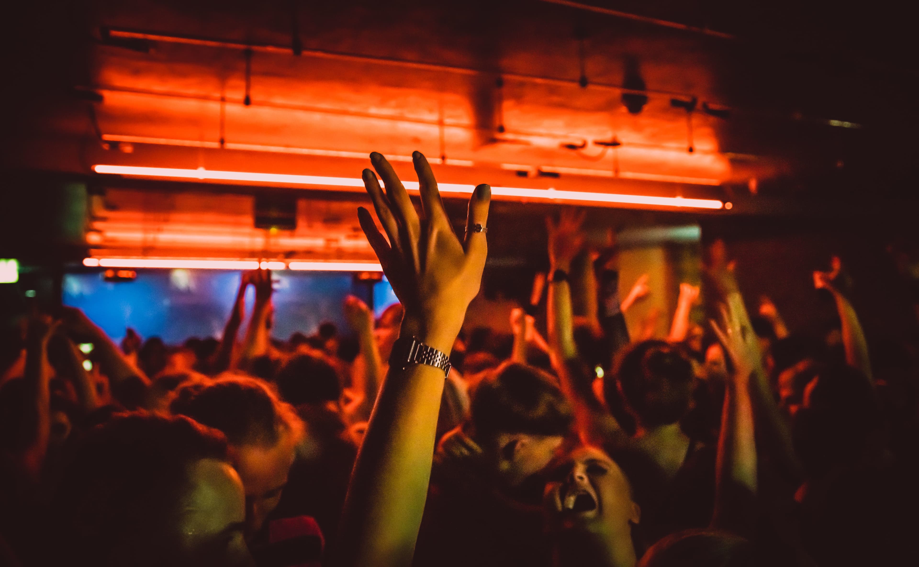 Factory 251 photo #2