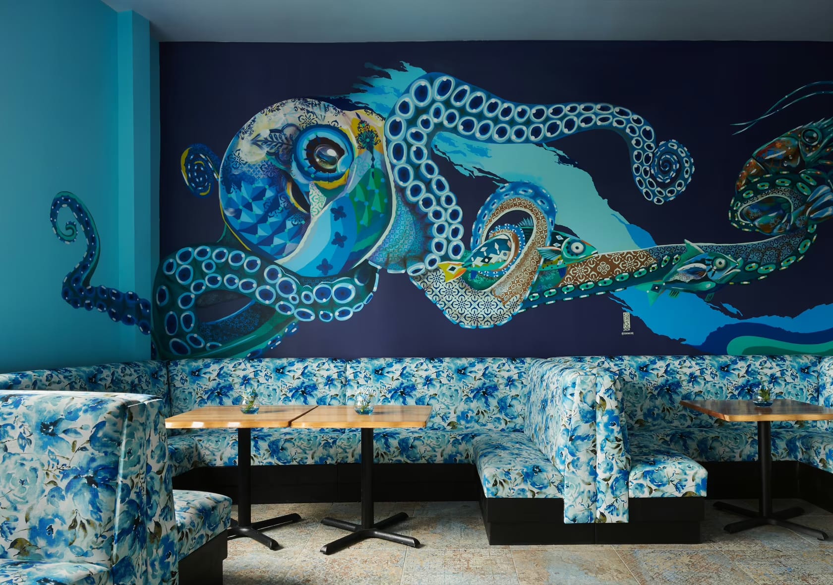 Photo of Azul, Octopus Garden