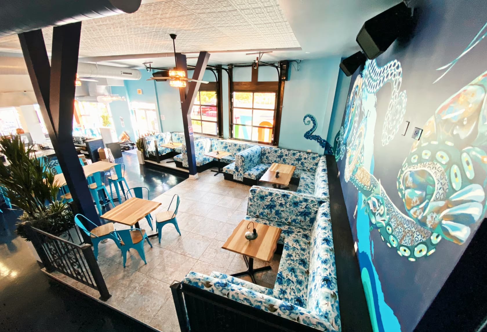 Photo of Azul, Octopus Garden