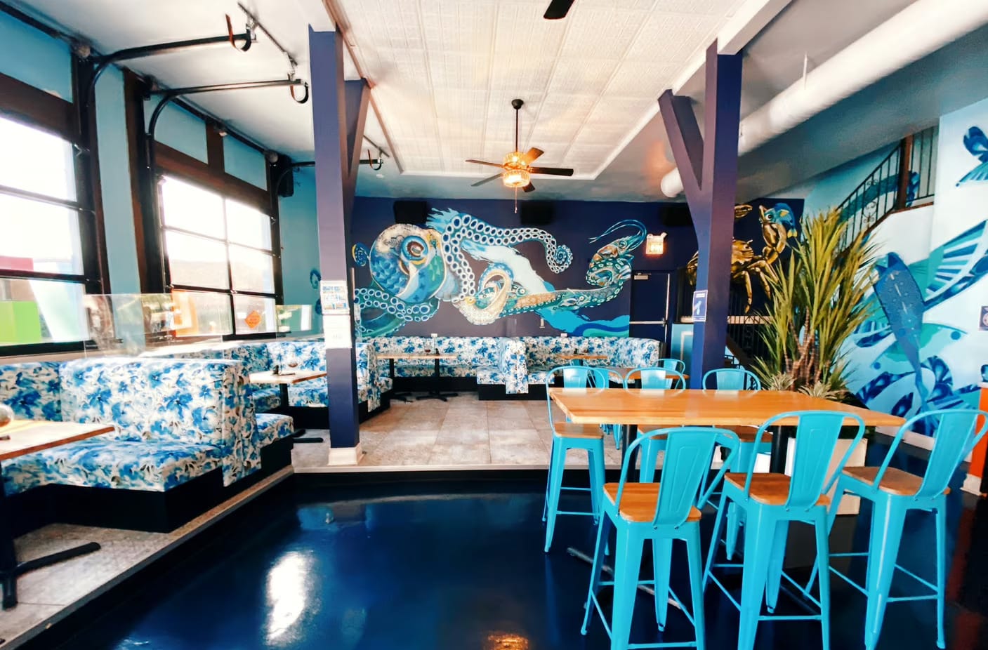Photo of Azul, Octopus Garden