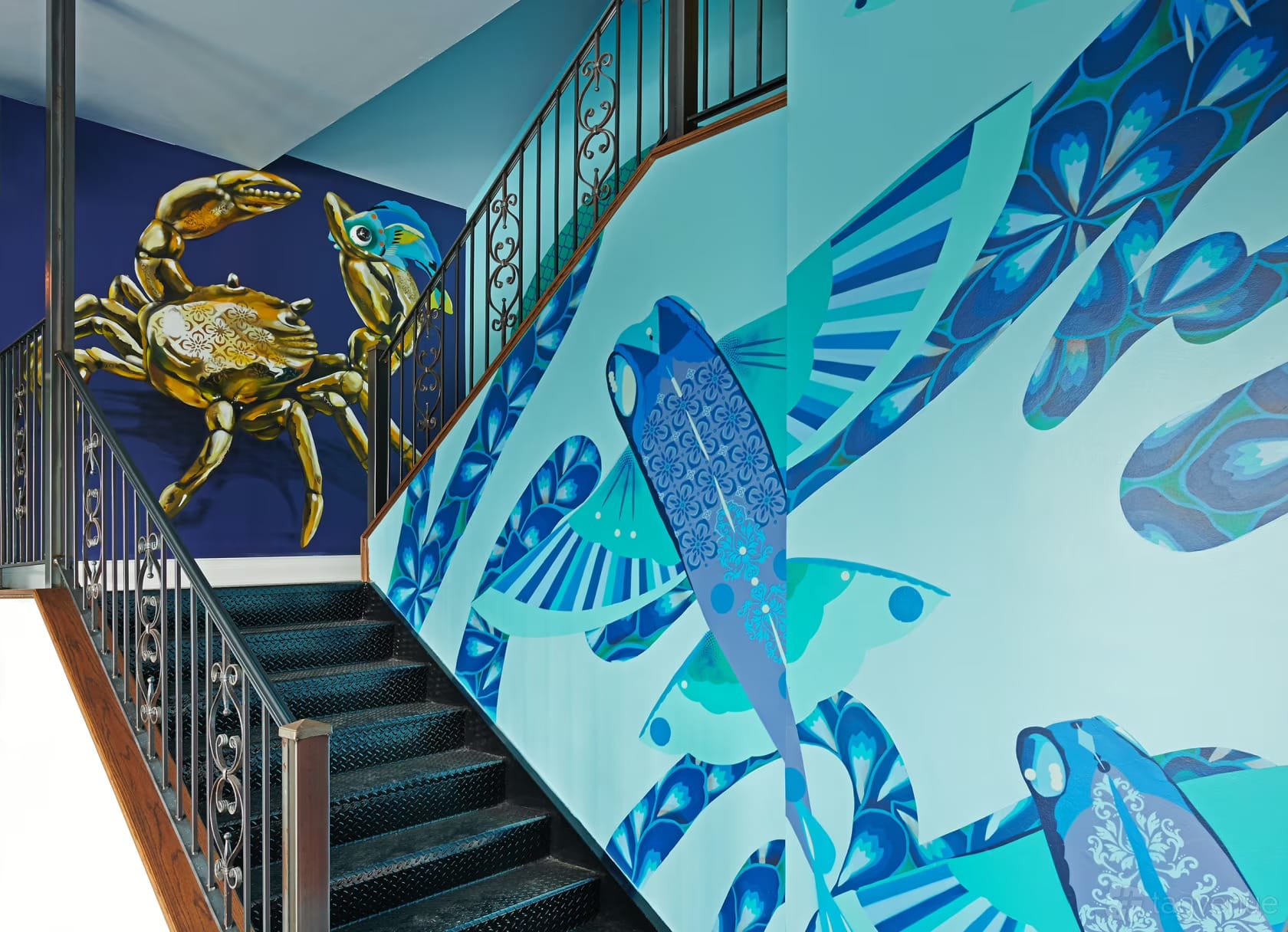 Photo of Azul, Octopus Garden