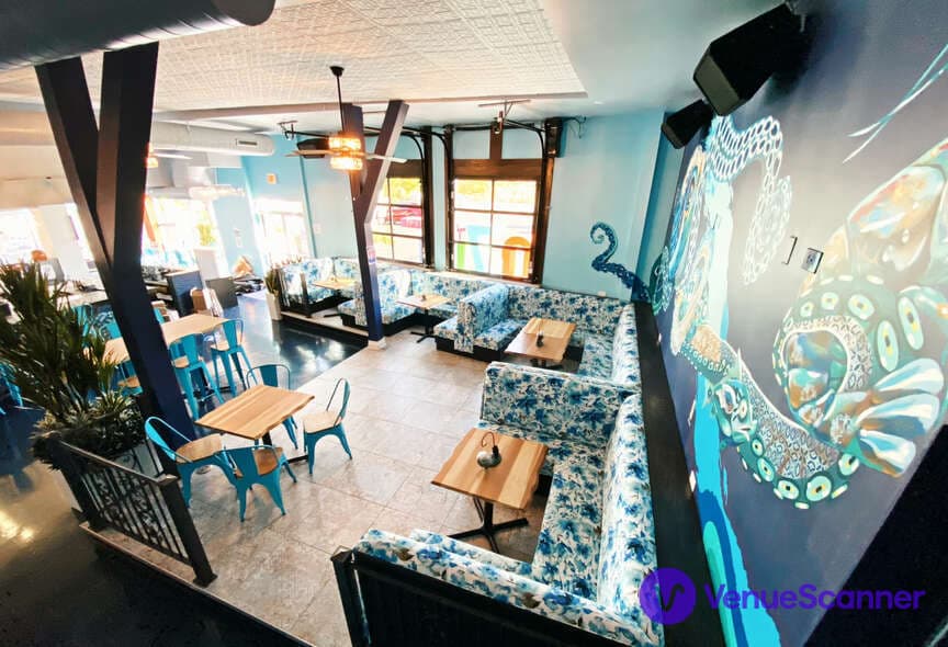 Octopus Garden, Azul photo #2