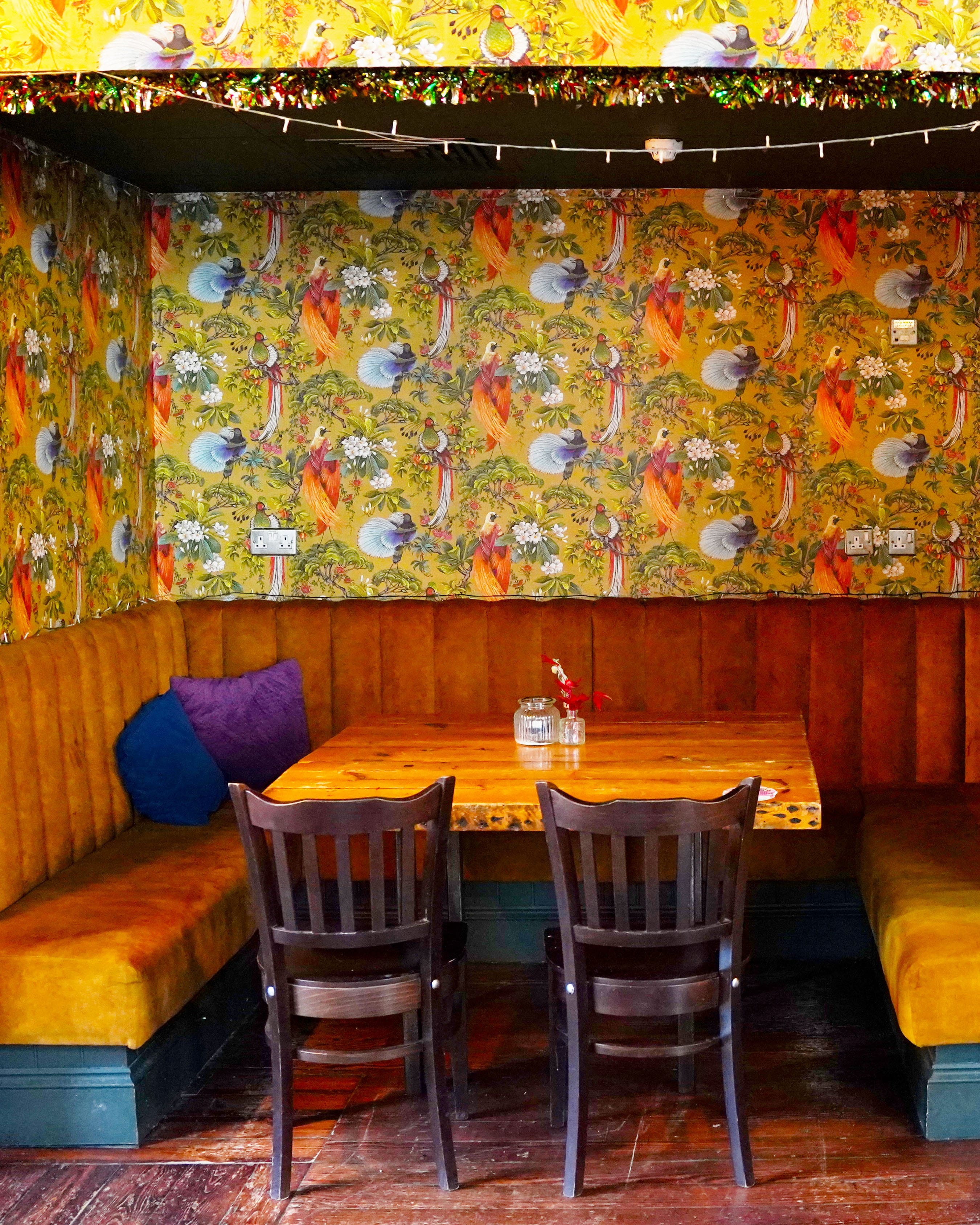 Photo of The Mesmerist, The Bird Cage