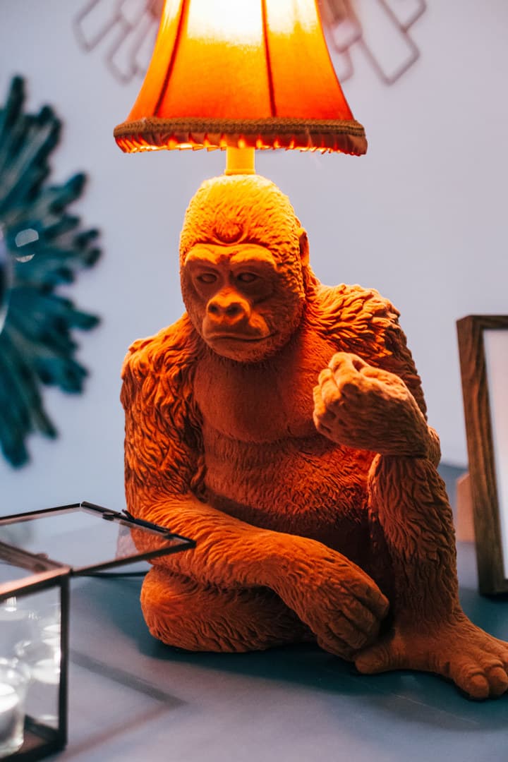Full Venue Hire, The Little Yellow Door photo #11