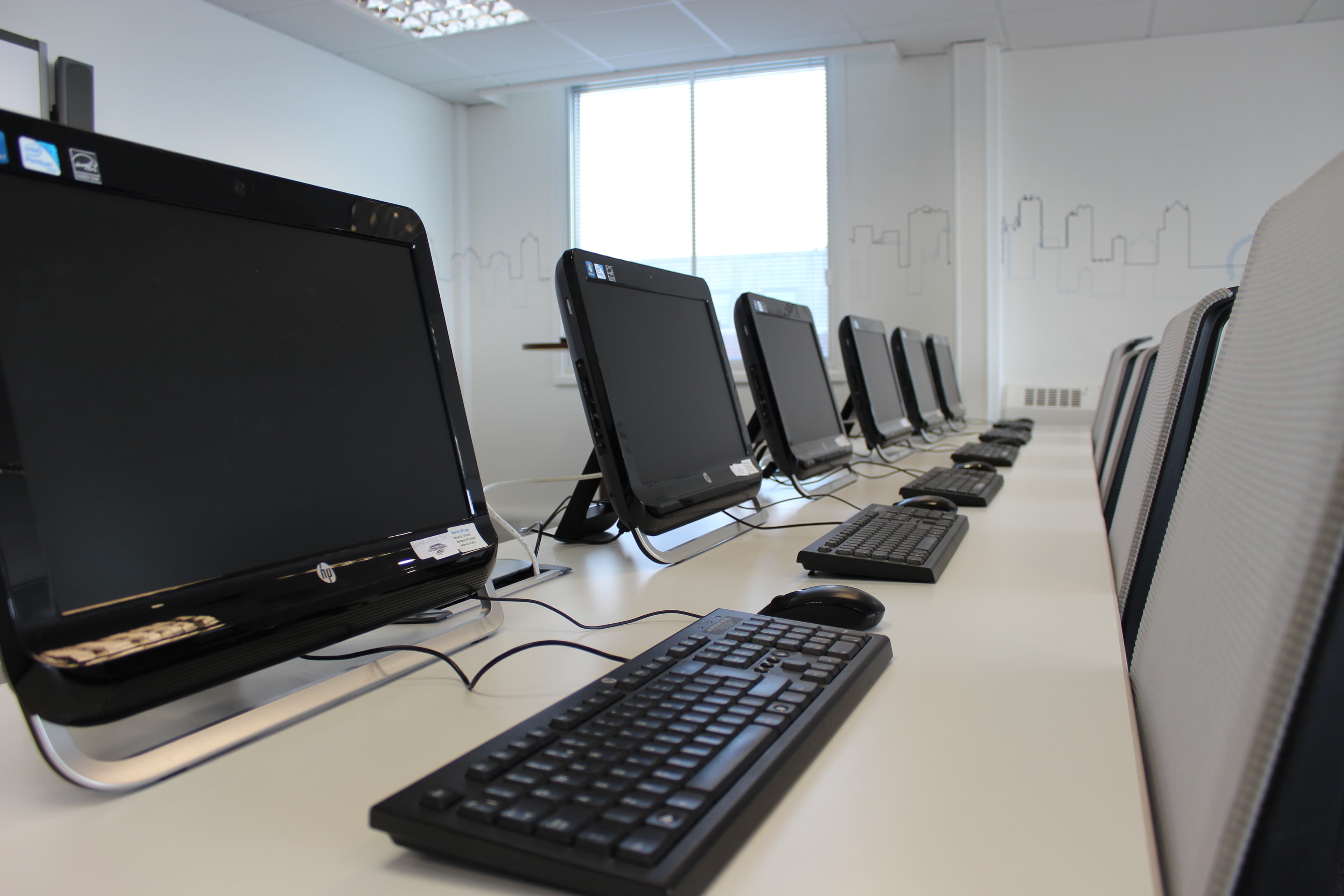 Hawk Training, Studio One photo #2