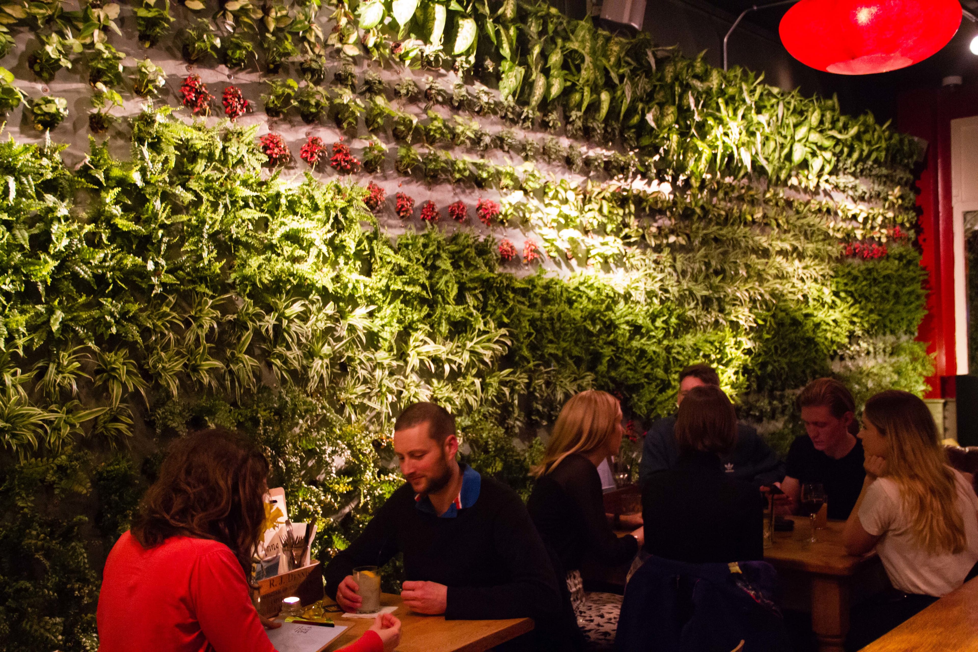 Photo of The Honor Oak, Back Beer Garden