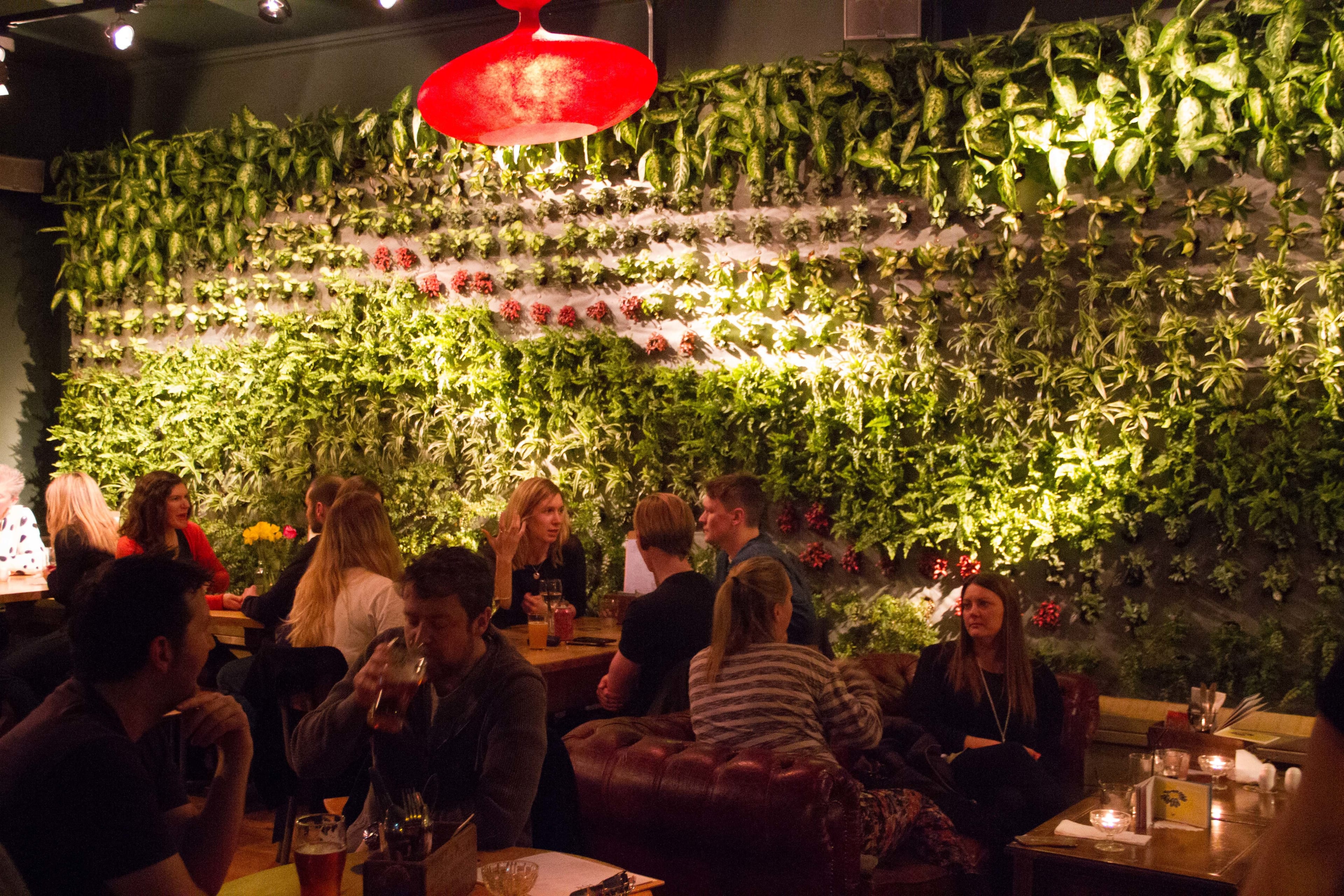 Photo of The Honor Oak, Back Beer Garden