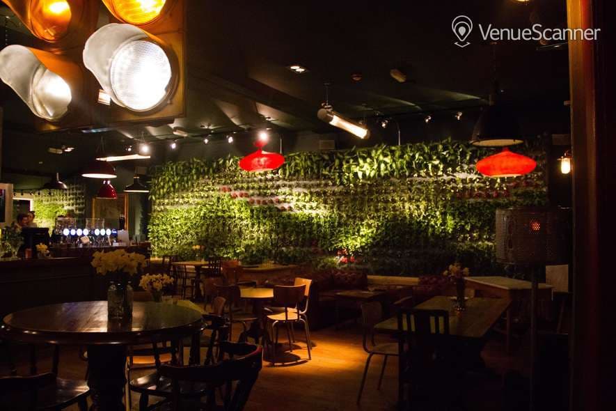 Back Beer Garden, The Honor Oak photo #3