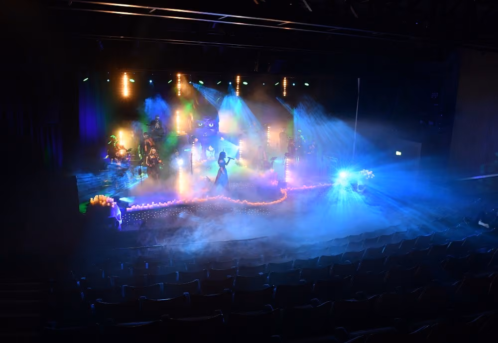 Rhoda McGaw Theatre, The Ambassadors, Woking photo #5