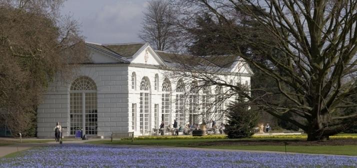 Kew Gardens, Princess Of Wales Conservatory photo #1