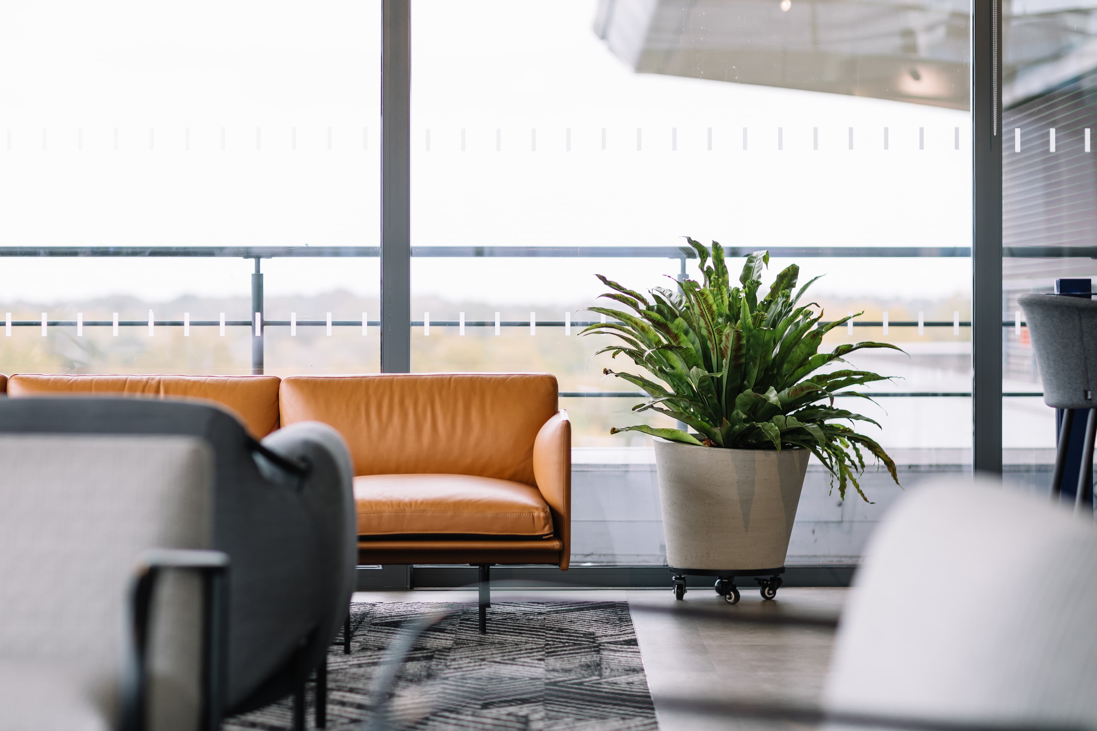 Asahi House Exclusive Hire, Asahi House photo #14