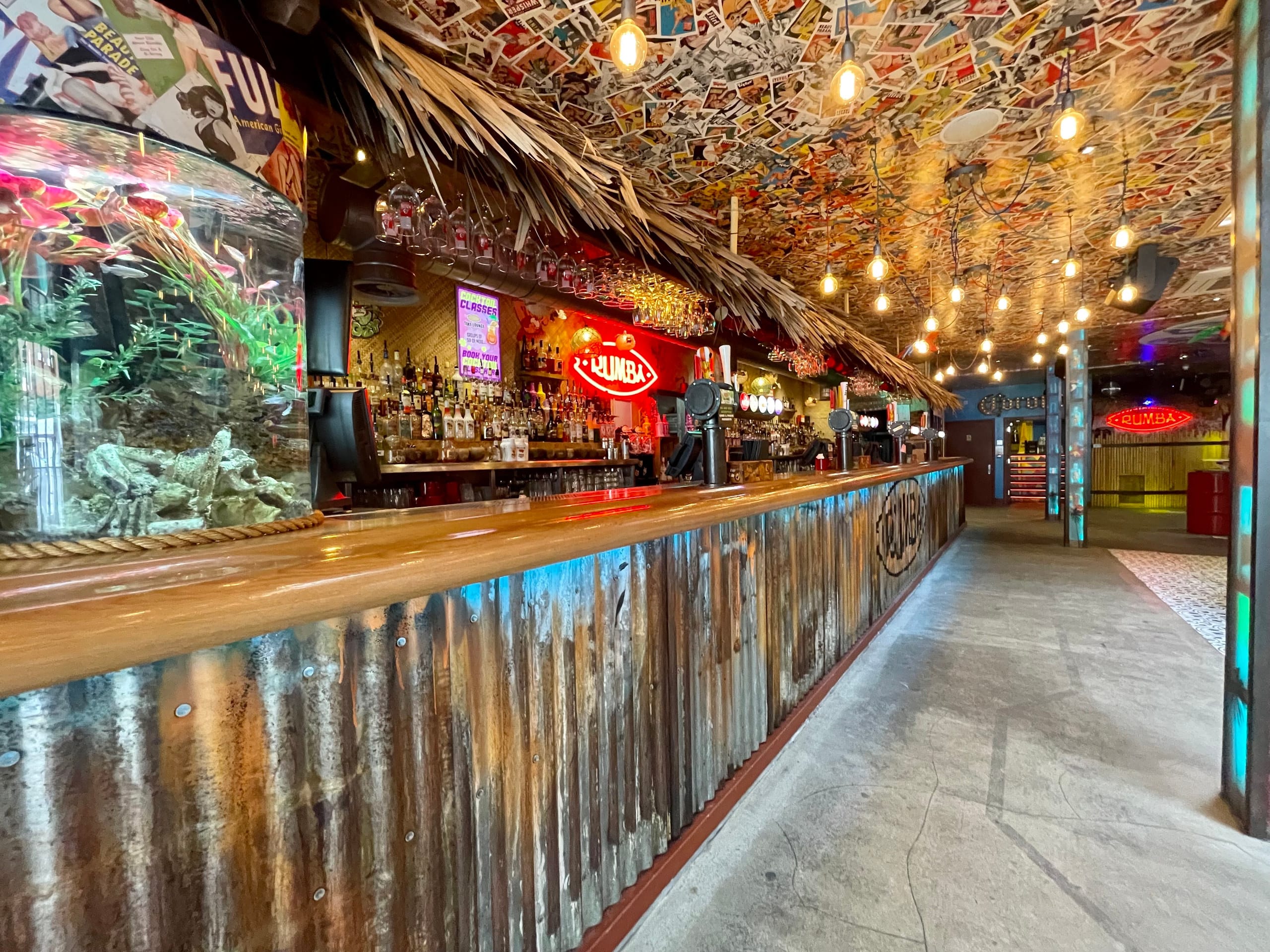 Photo of Rumba, Exclusive Hire