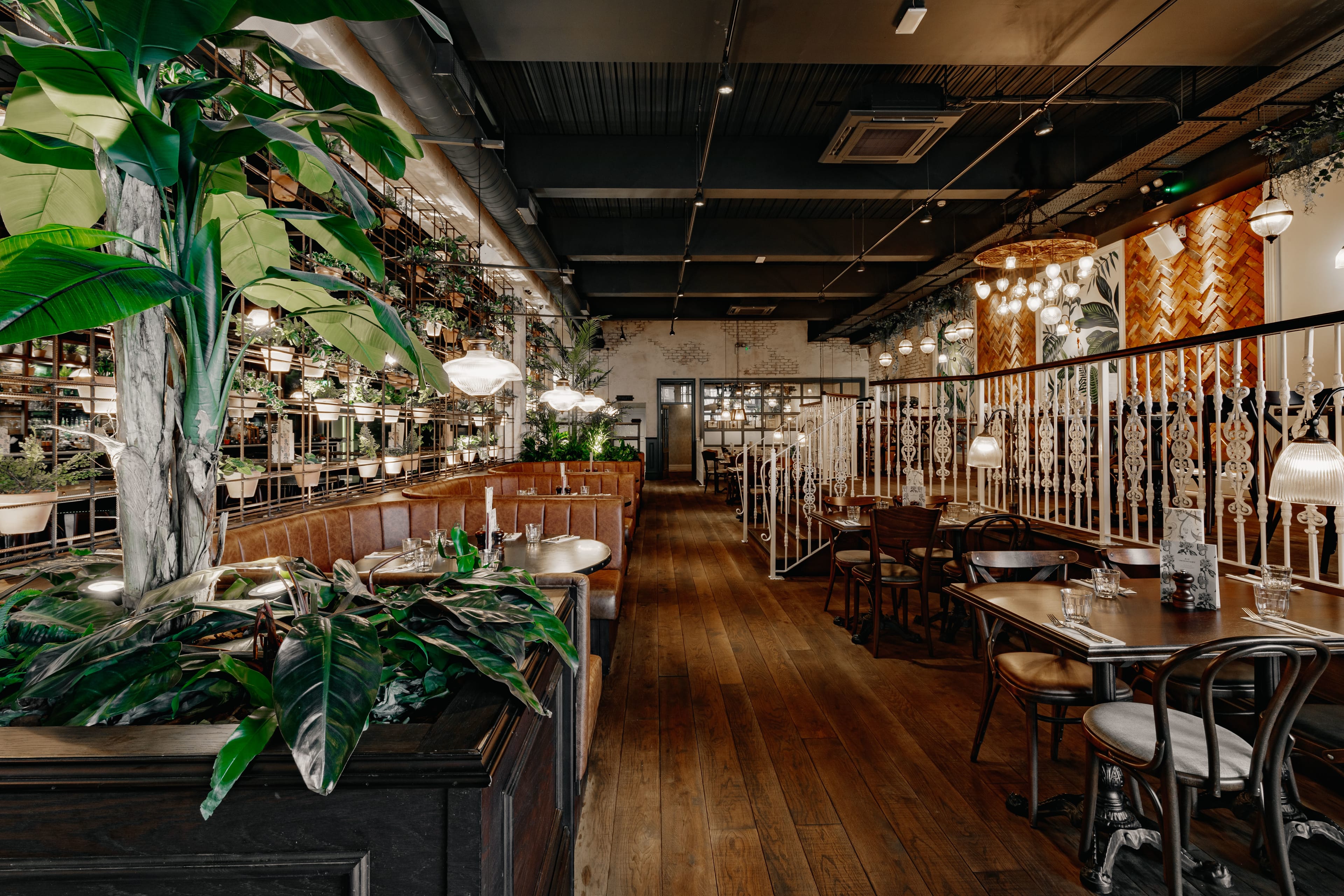 Photo of The Botanist Cheltenham, Whole Venue