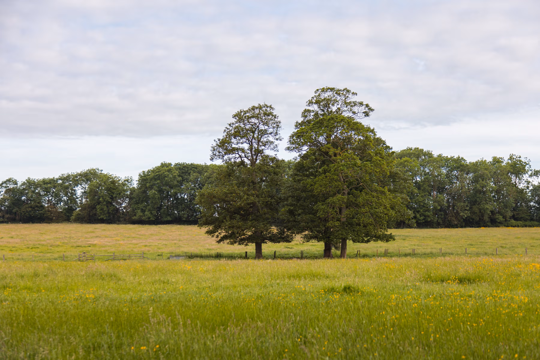 Photo of Horwood House, The Manor Lounge