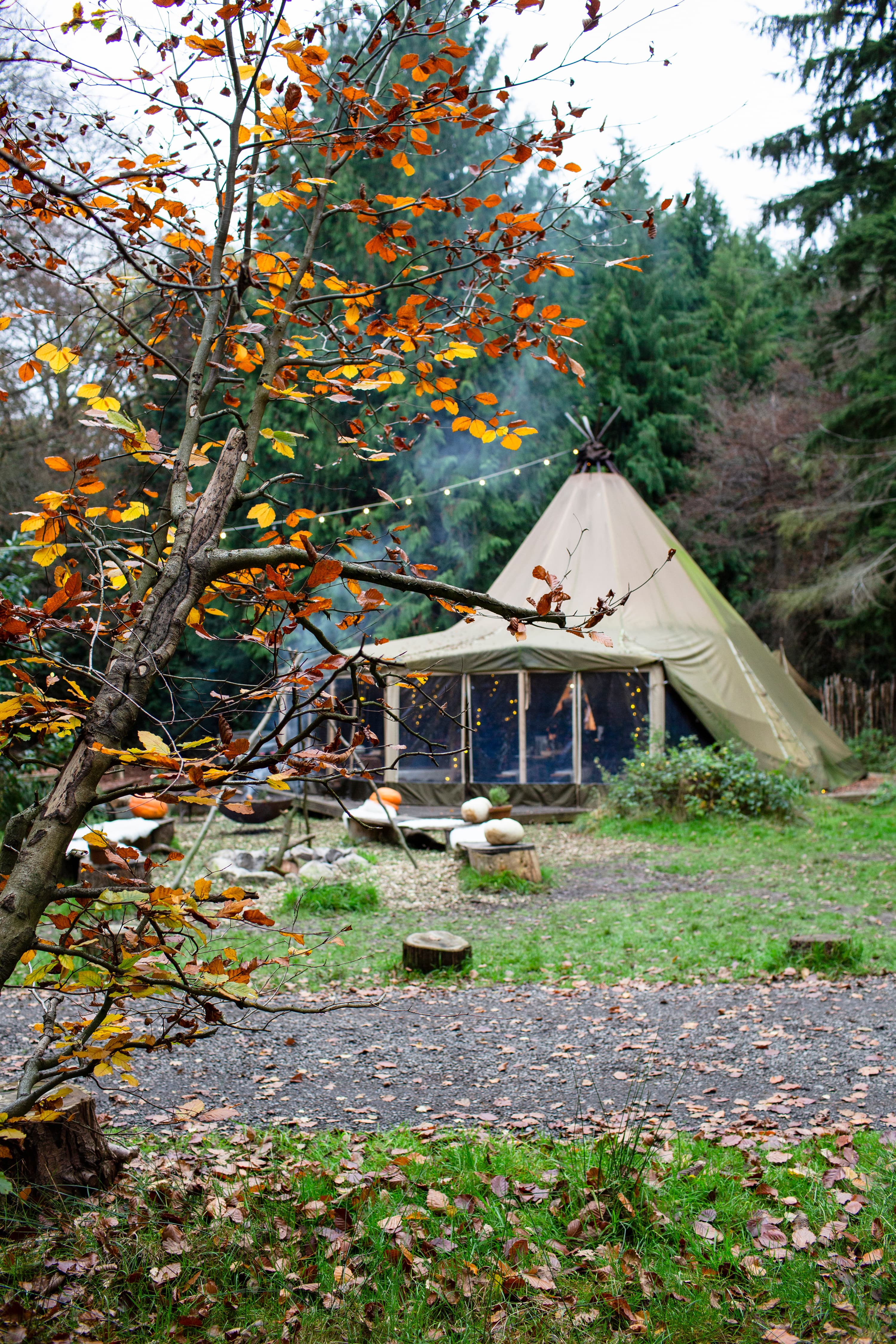Exclusive Hire, Nomadic Dinners photo #8