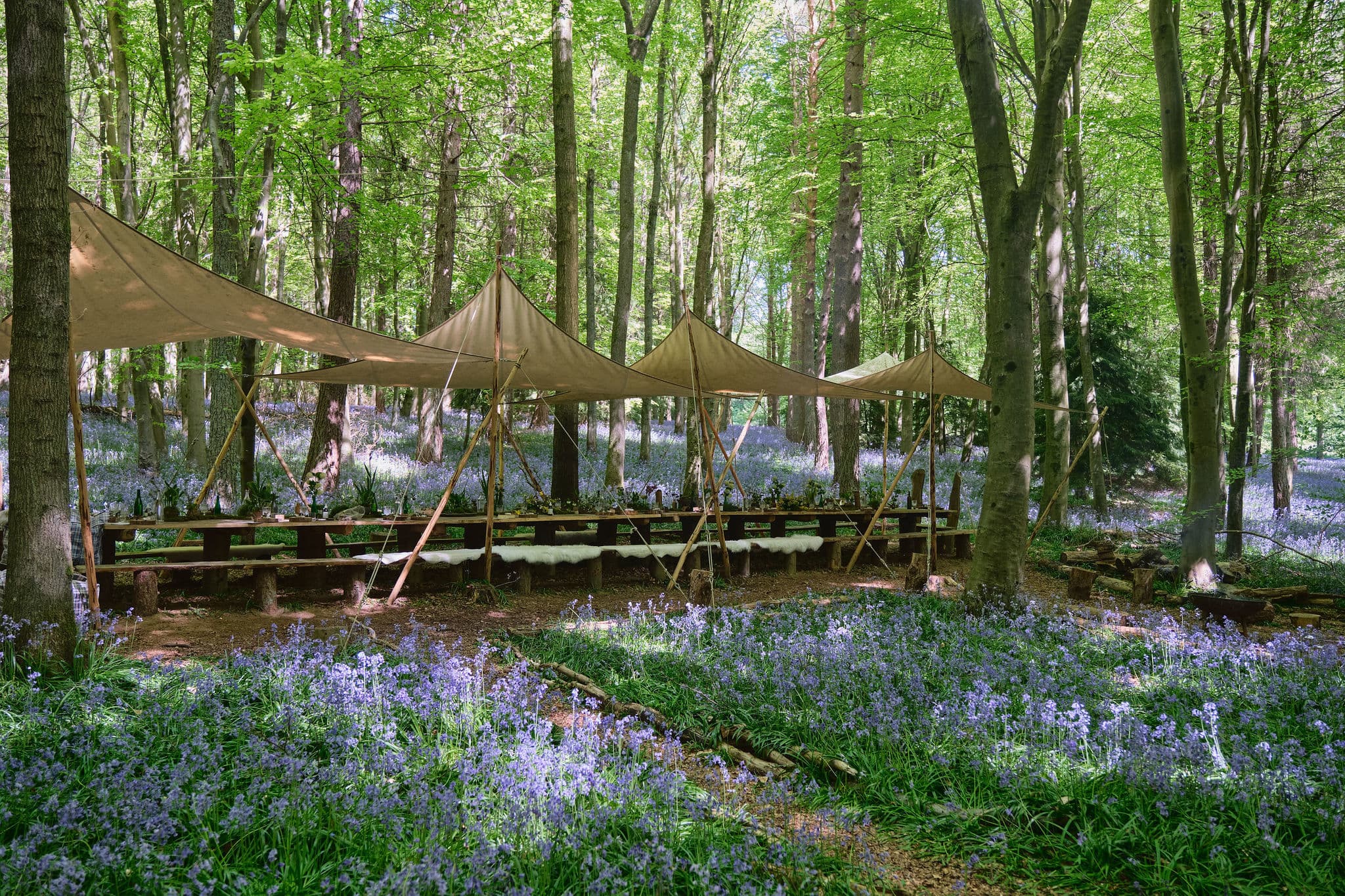 Exclusive Hire, Nomadic Dinners photo #21