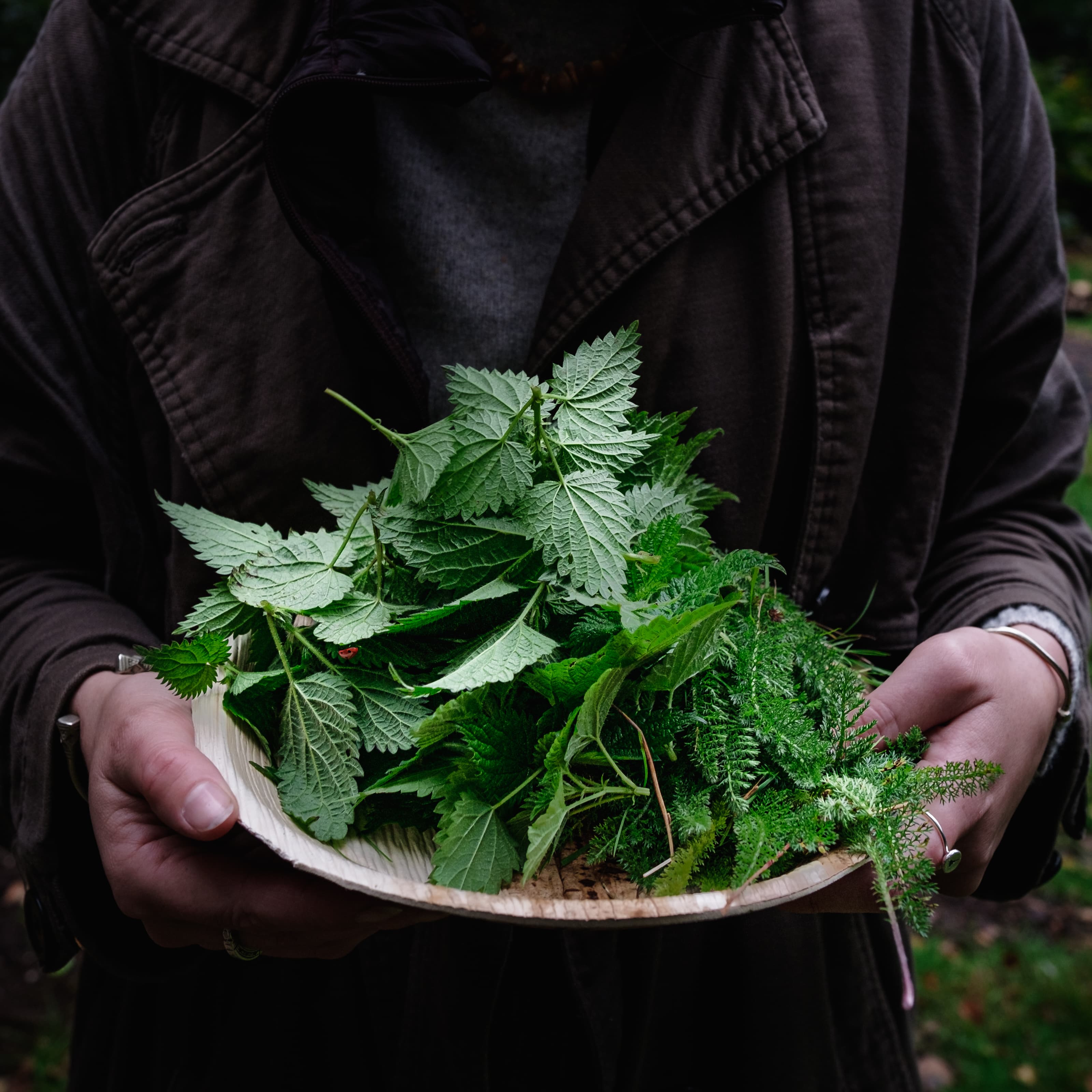 Exclusive Hire, Nomadic Dinners photo #48