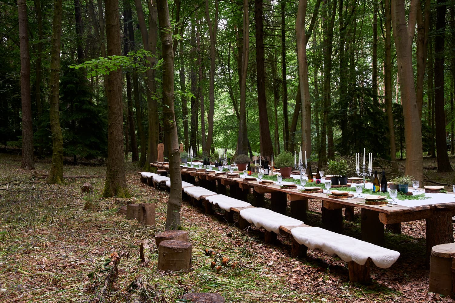 Exclusive Hire, Nomadic Dinners photo #7