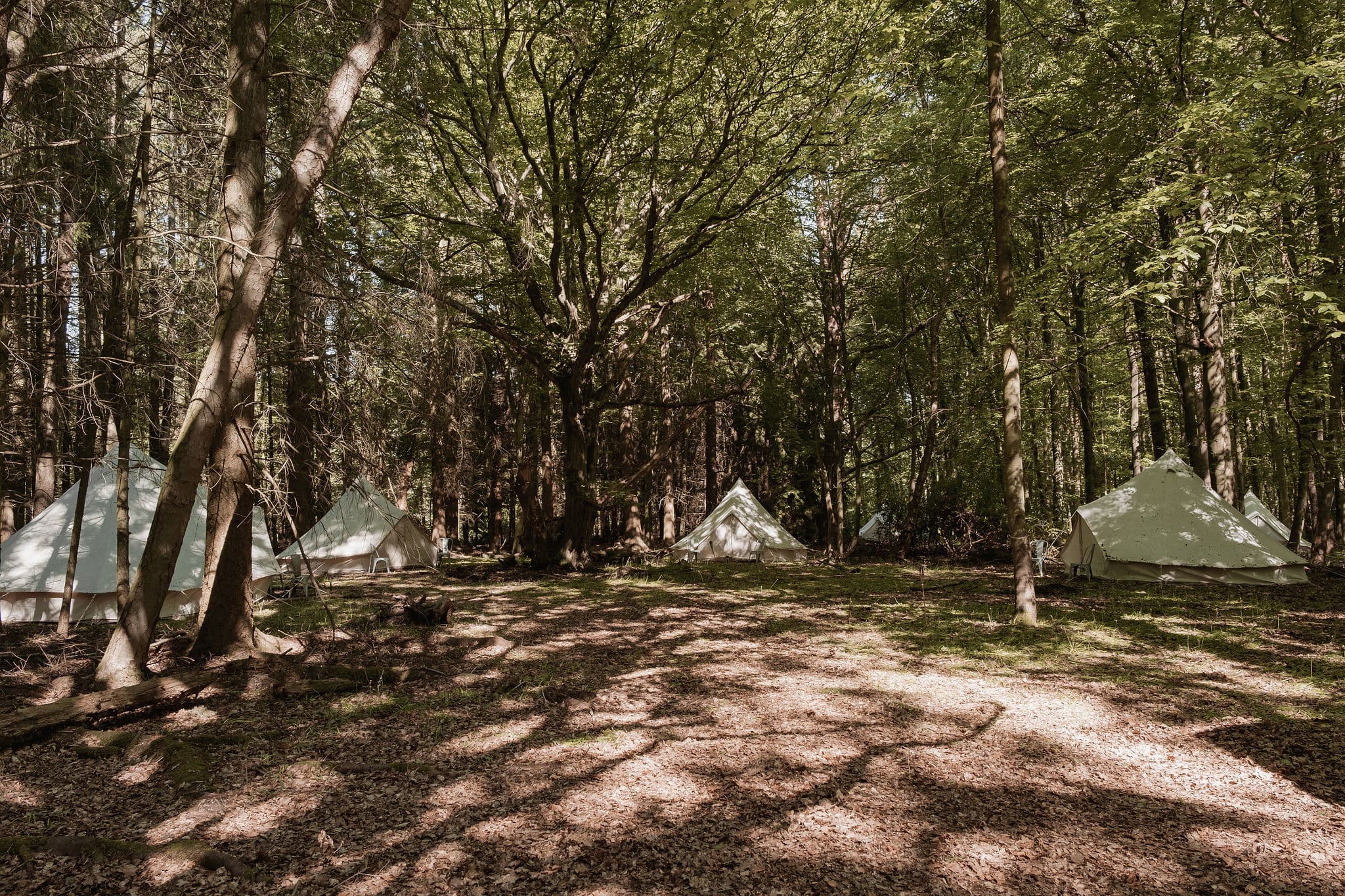 Exclusive Hire, Nomadic Dinners photo #26
