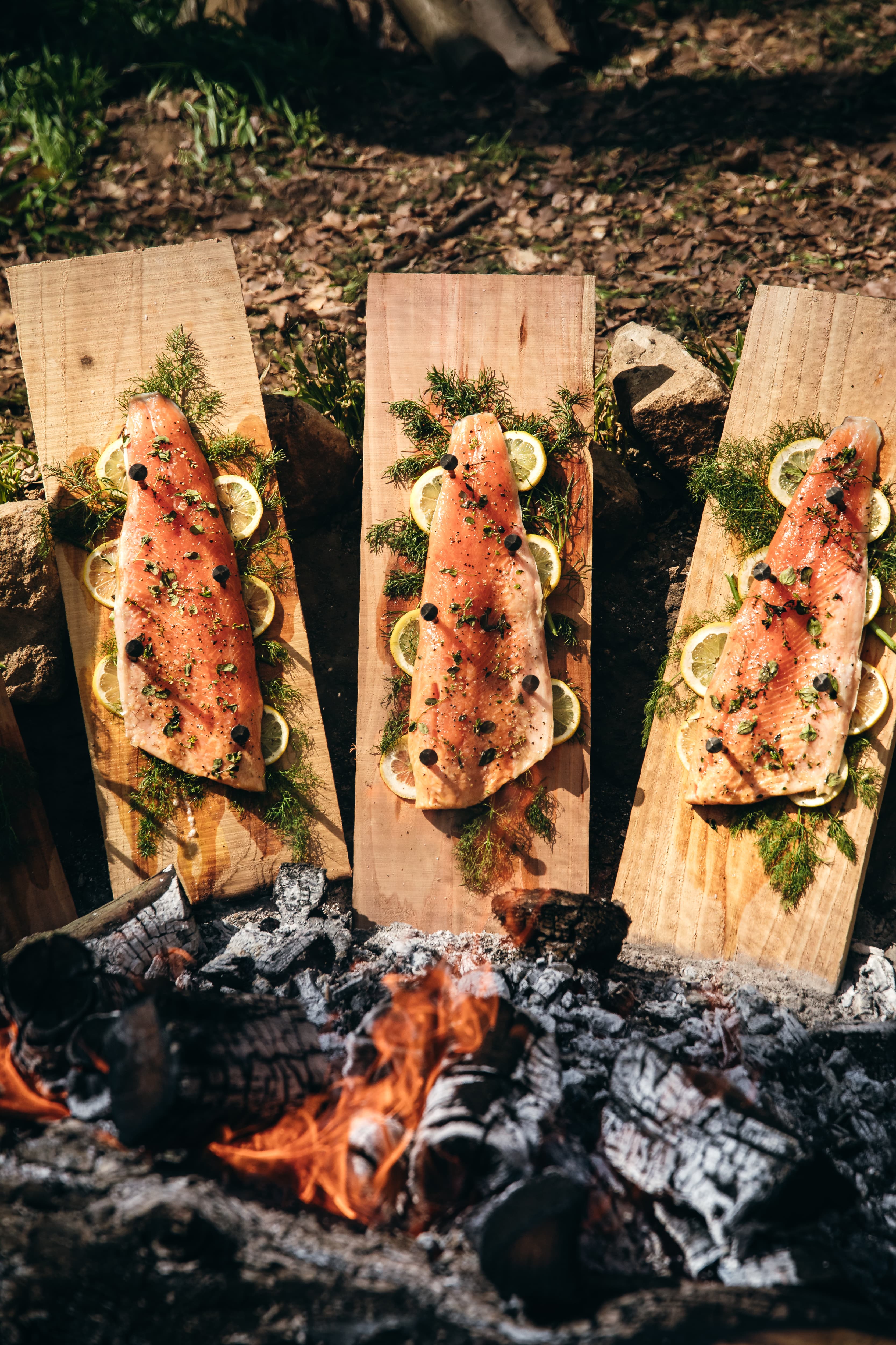 Exclusive Hire, Nomadic Dinners photo #50
