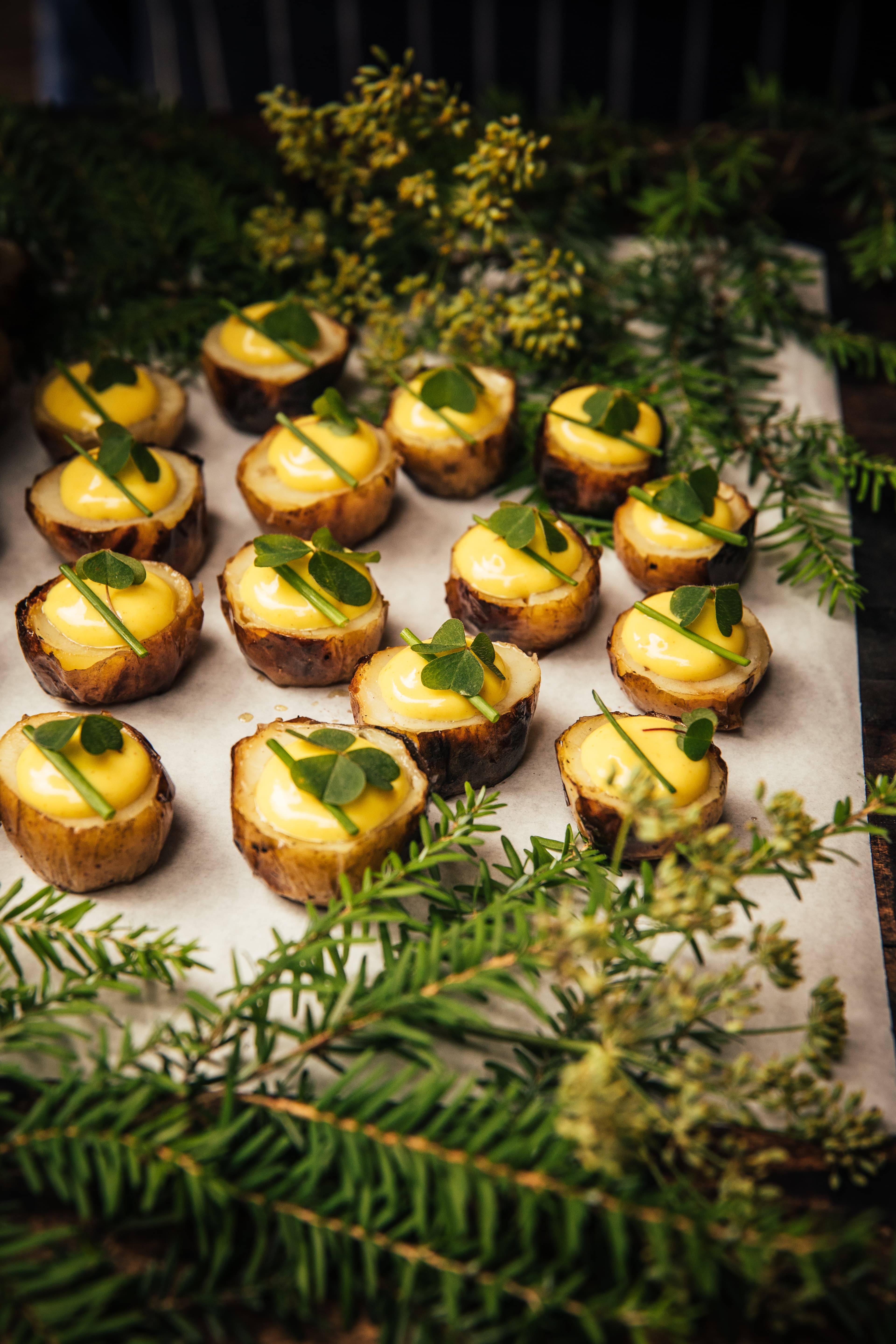 Exclusive Hire, Nomadic Dinners photo #51