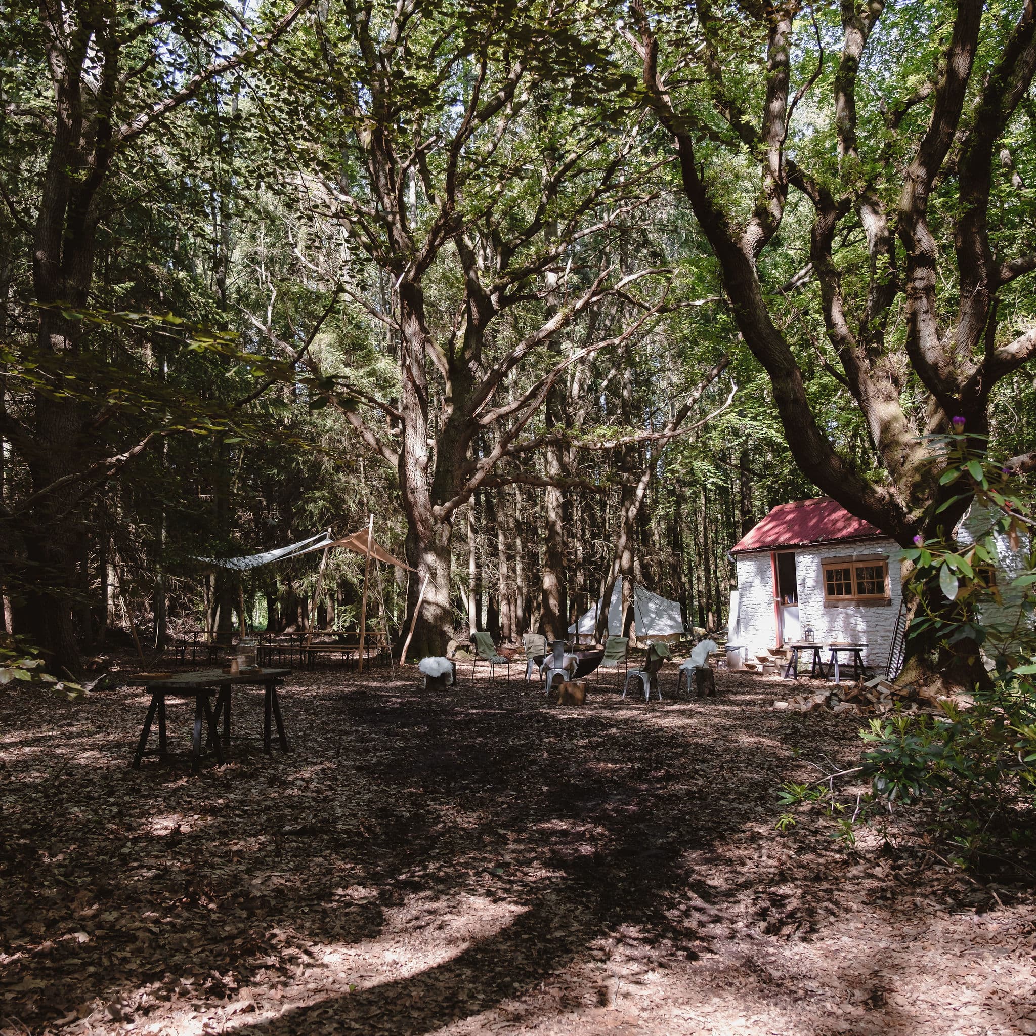 Exclusive Hire, Nomadic Dinners photo #14