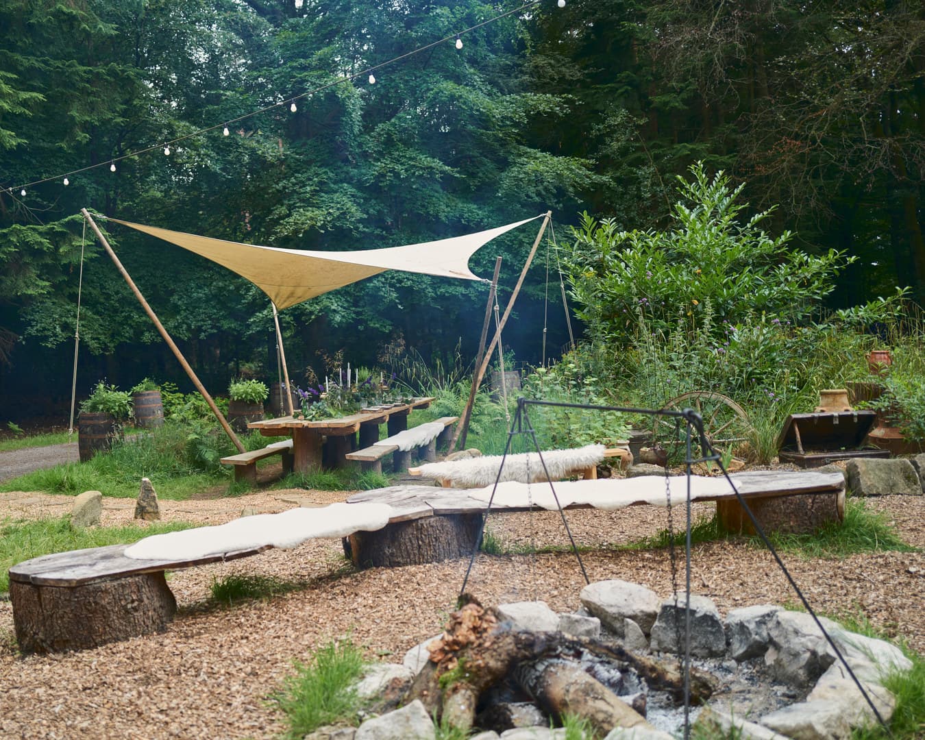 Festive Forest, Nomadic Dinners photo #3
