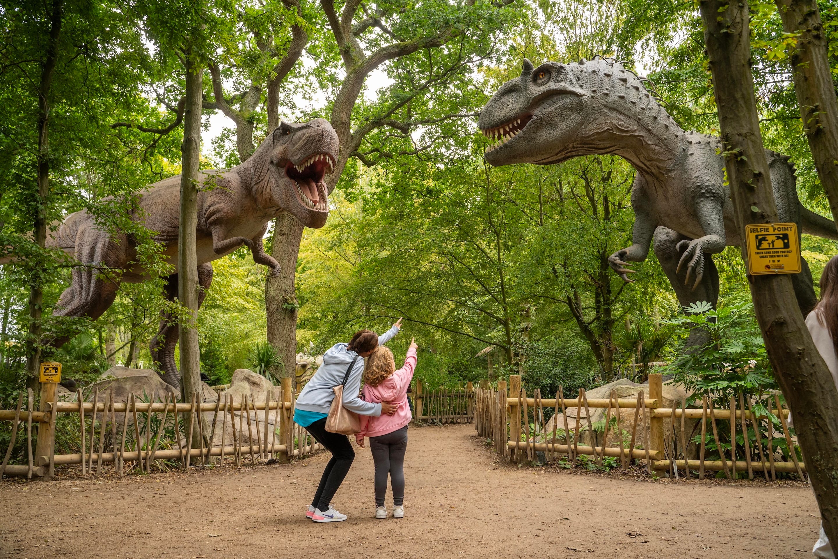 Photo of Hertfordshire Zoo, Sunbear Venue