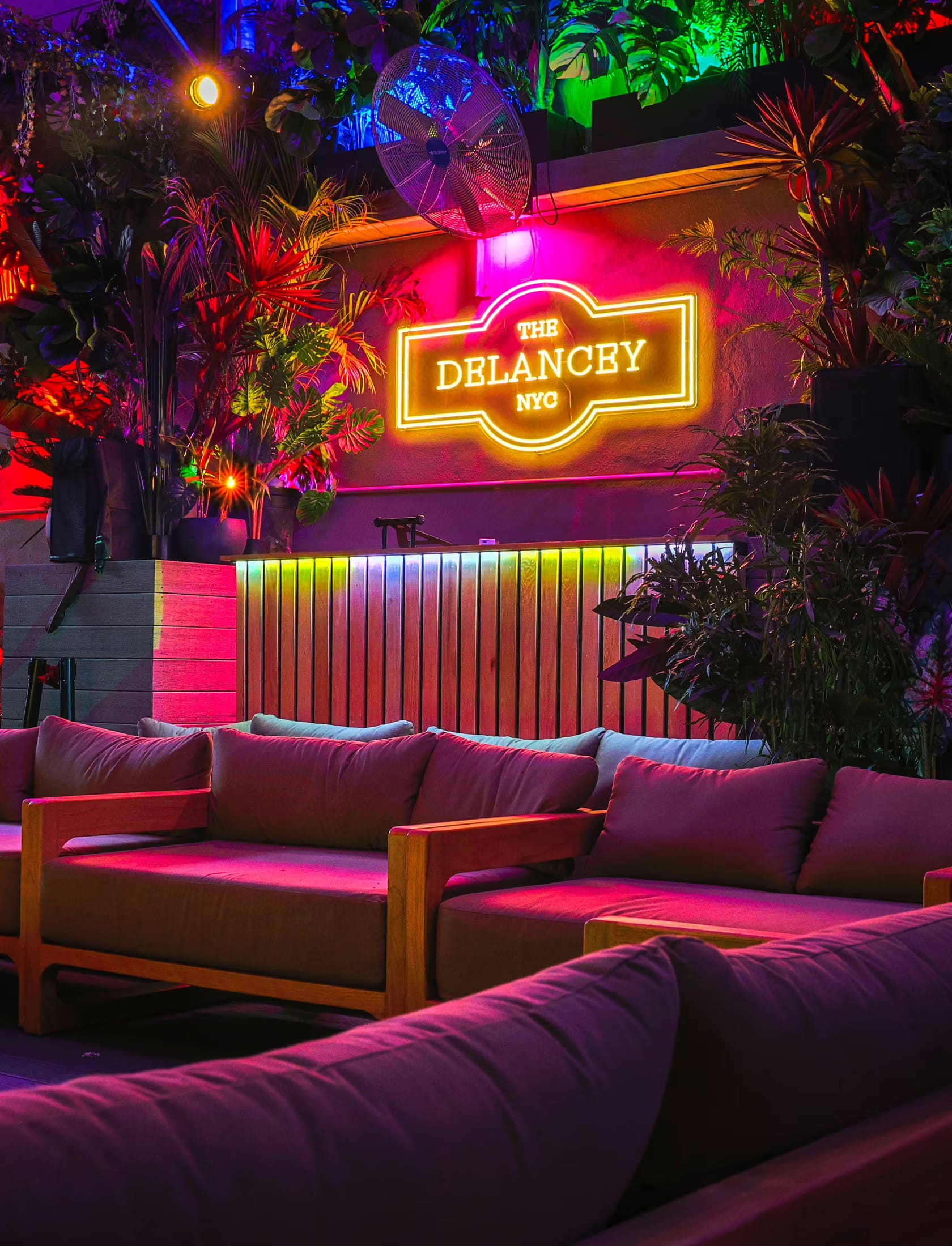 Photo of The Delancy, Rooftop