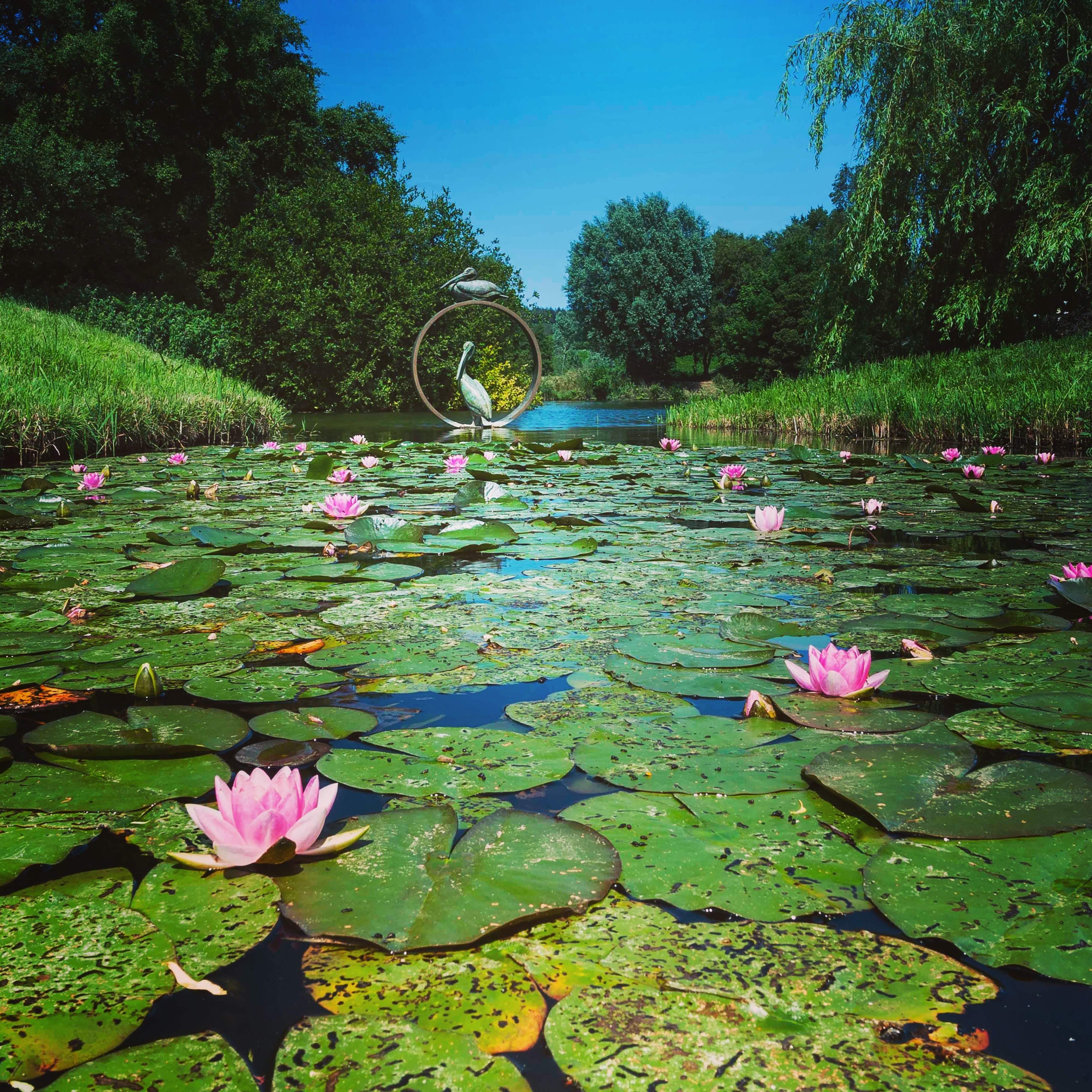 Photo of Sculpture By The Lakes