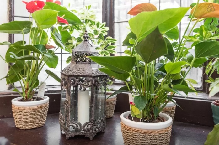 Photo of India Club Lounge-Bar