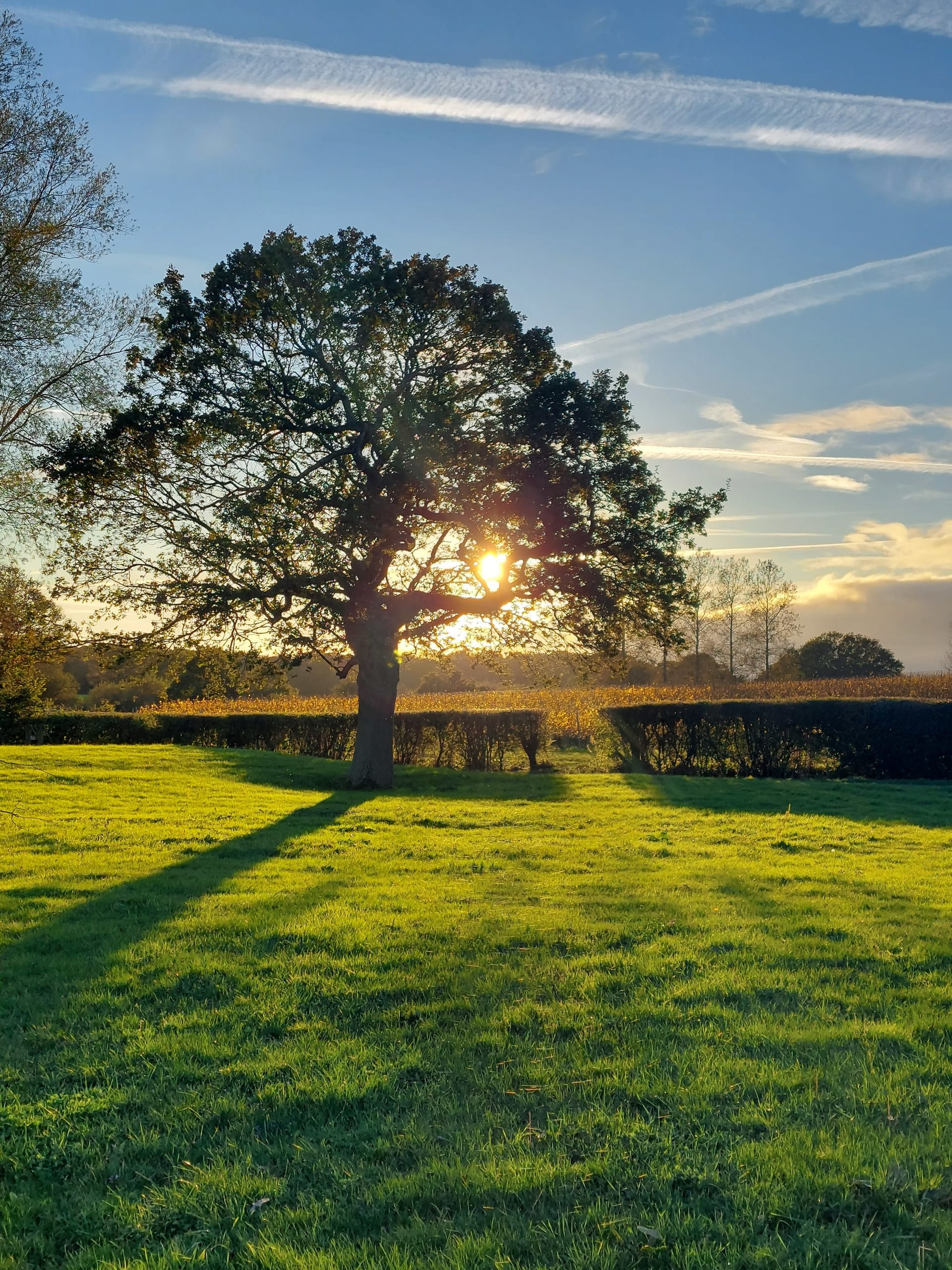 Photo of Albourne Estate, Exclusive Hire