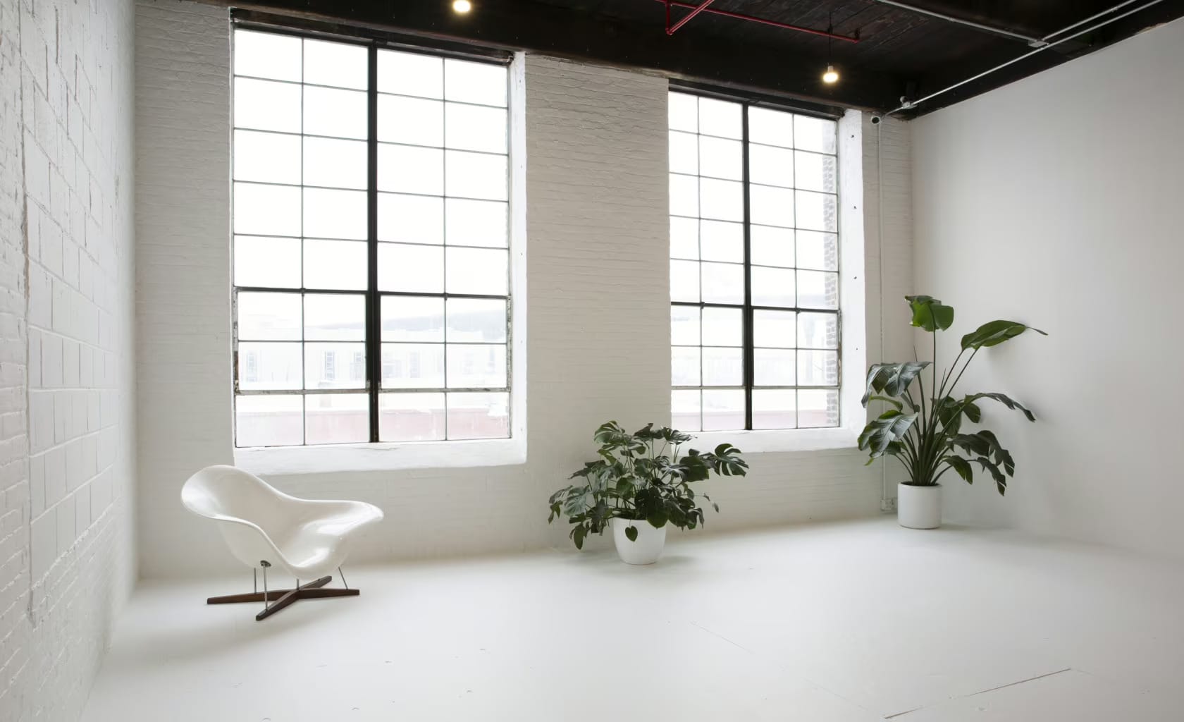 Photo of Please Space, Thank You Studio