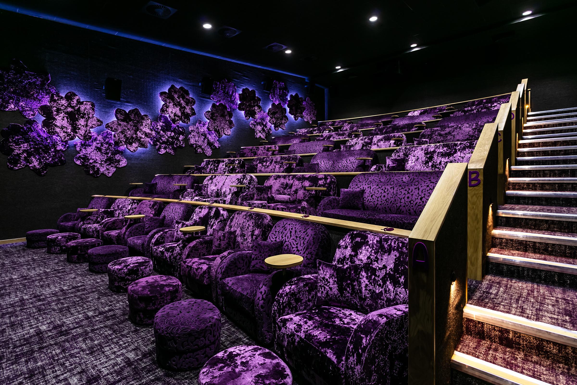 Private Cinema Hire, The Flower Bowl Entertainment Centre photo #1