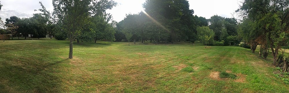 Photo of Mulberry House, Gazebo & Grounds