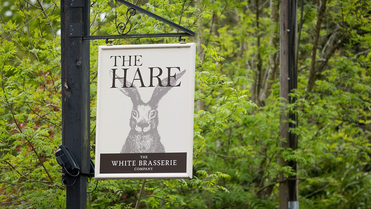 Photo of The Hare