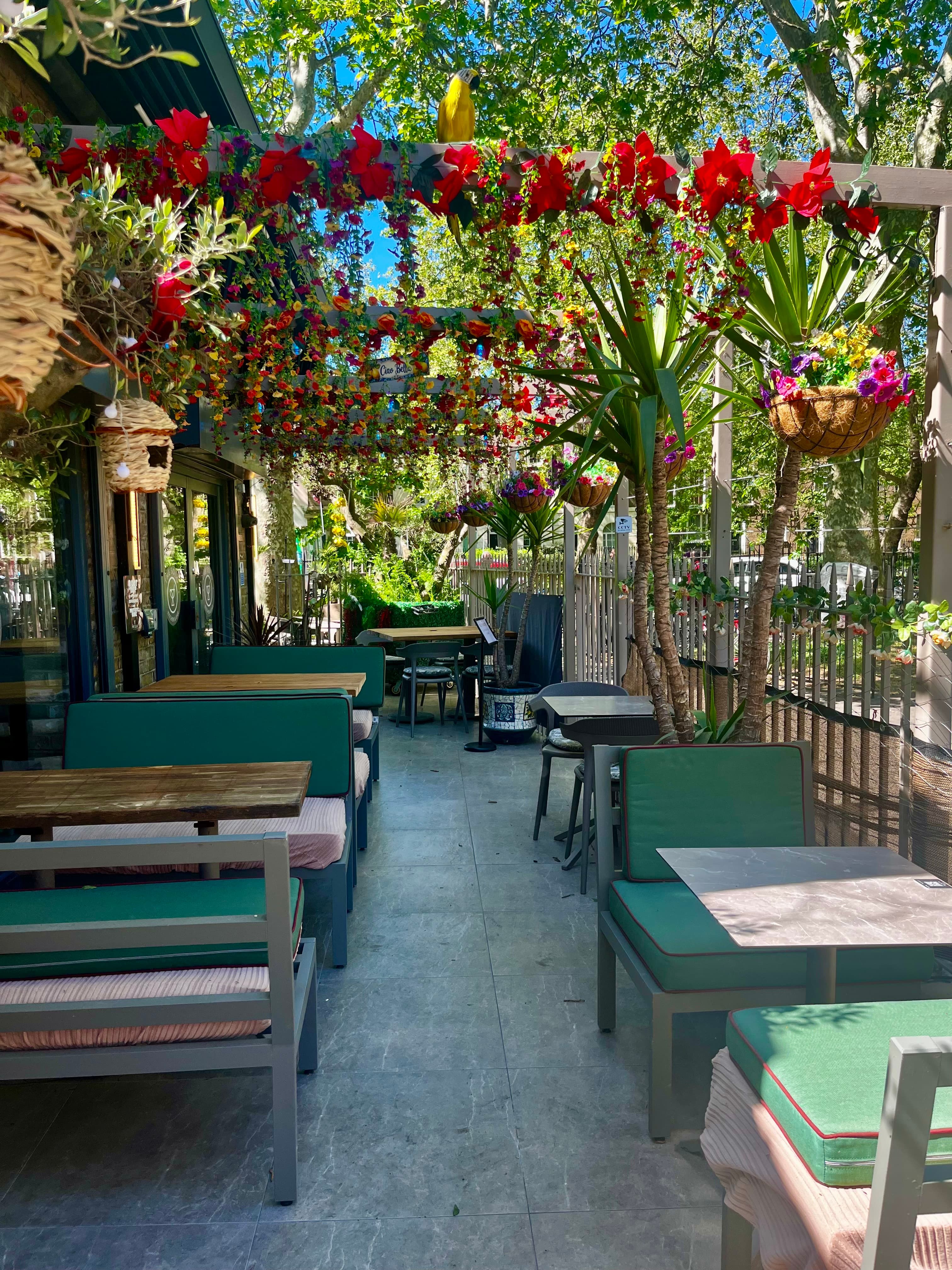 The Solo Oasis Garden & Inside Bar, The Solo Kitchen & Rooftop Bar photo #2