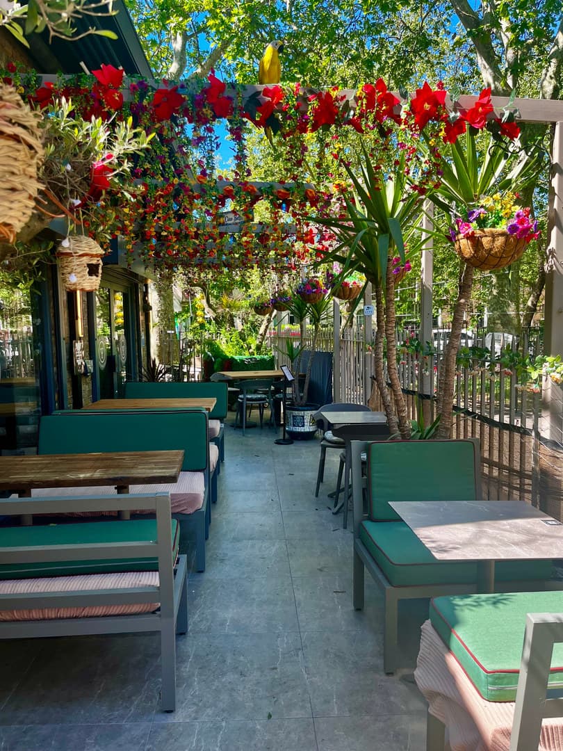 The Solo Oasis Garden & Inside Bar, The Solo Kitchen & Rooftop Bar photo #2