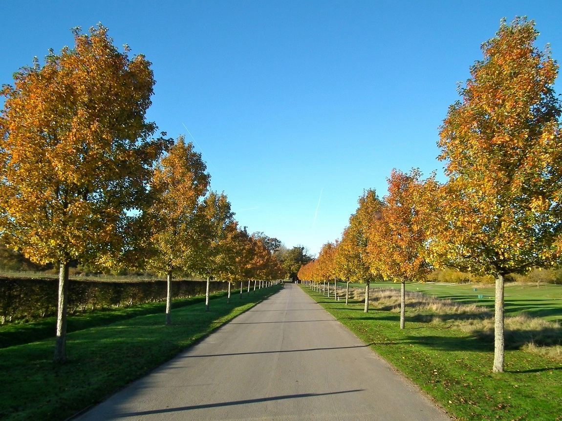 Photo of Clandon Regis Golf Club