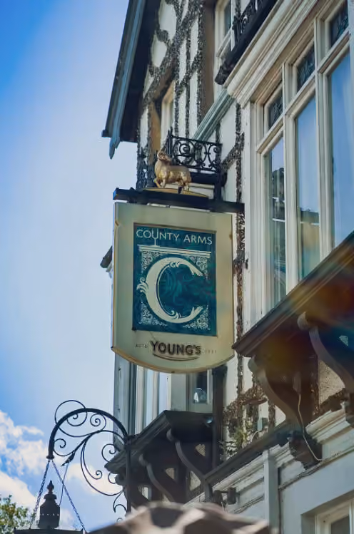 The Belvedere, County Arms photo #24