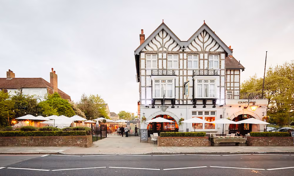 The Belvedere, County Arms photo #25