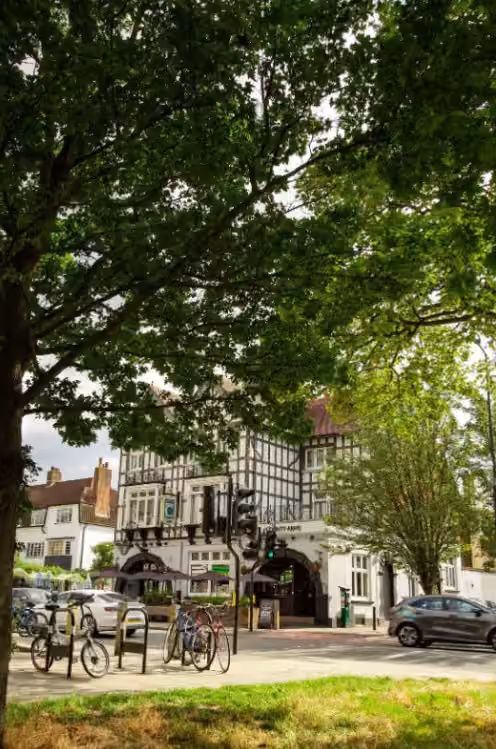The Belvedere, County Arms photo #23