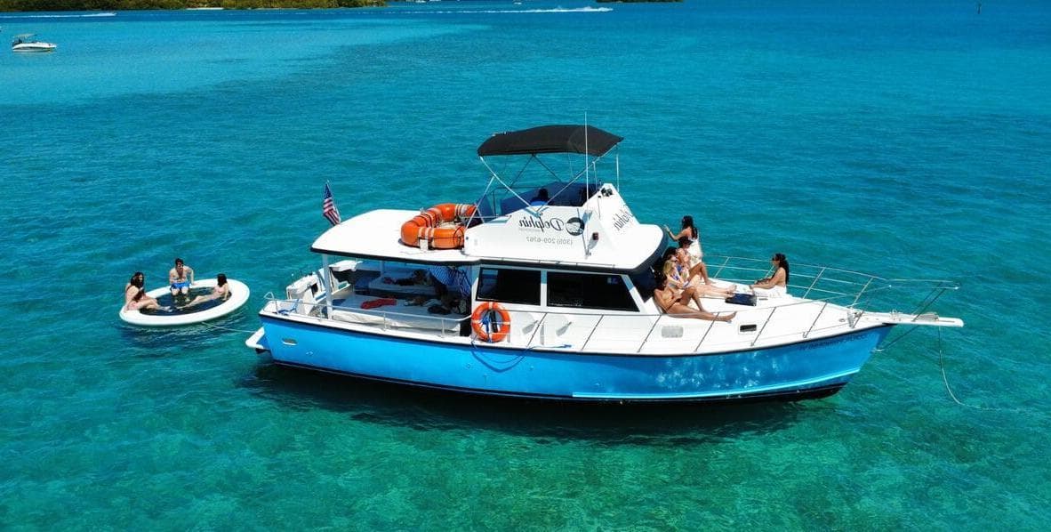 Dolphin Water Sport, Coral Princess, undefined photo #1