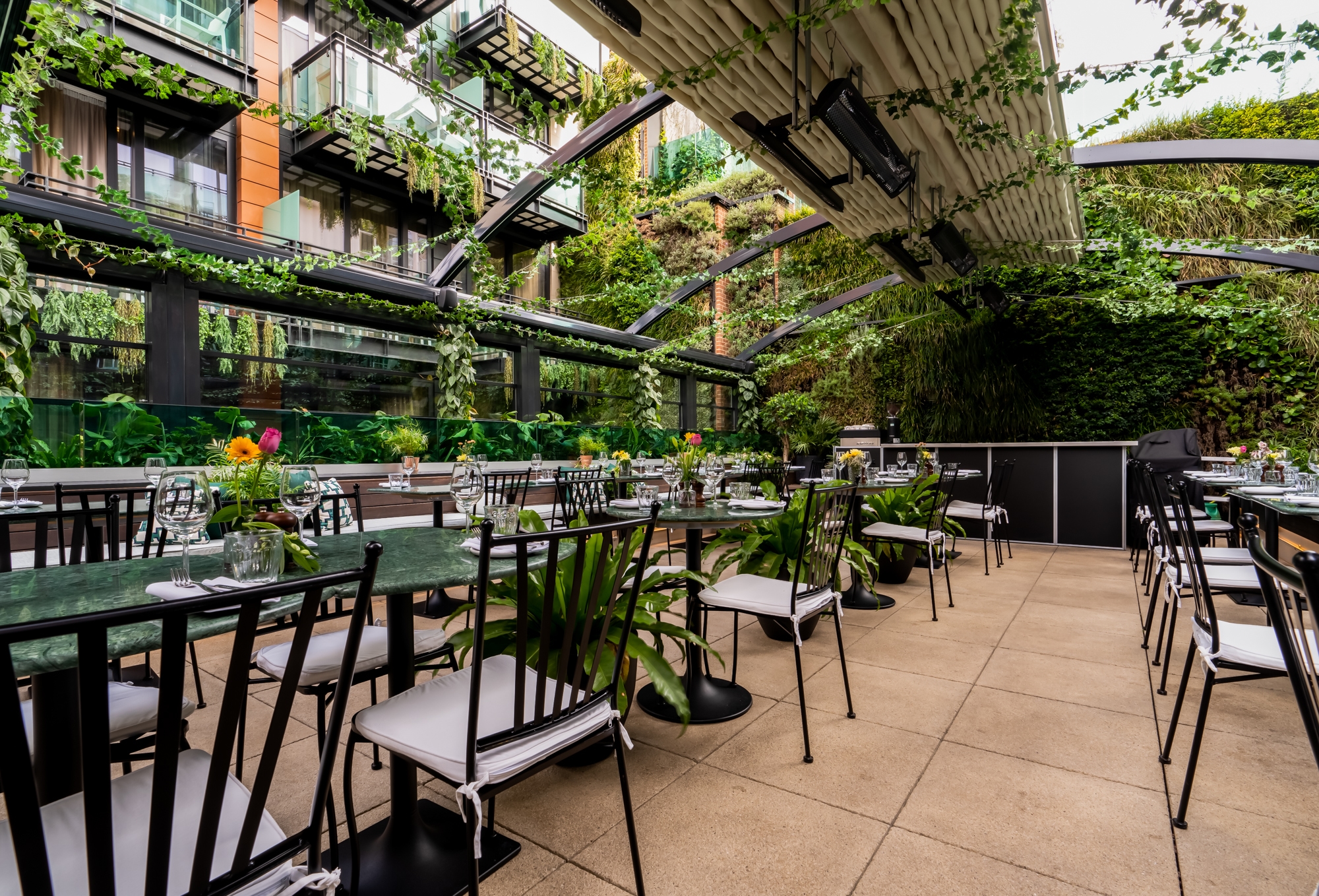 Photo of Terra Terra, The Terrace