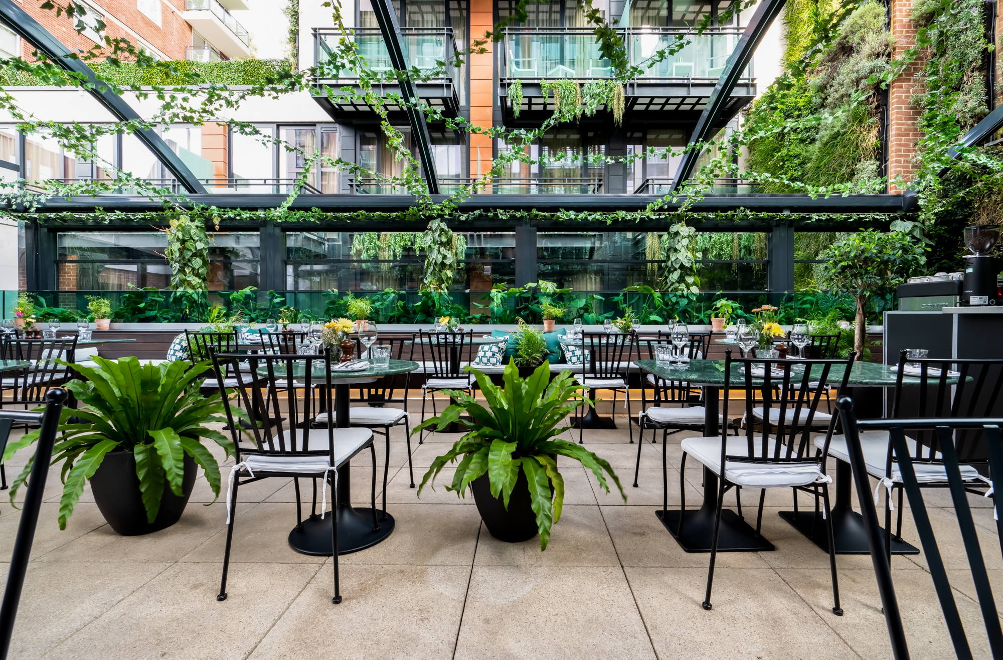 Photo of Terra Terra, The Terrace