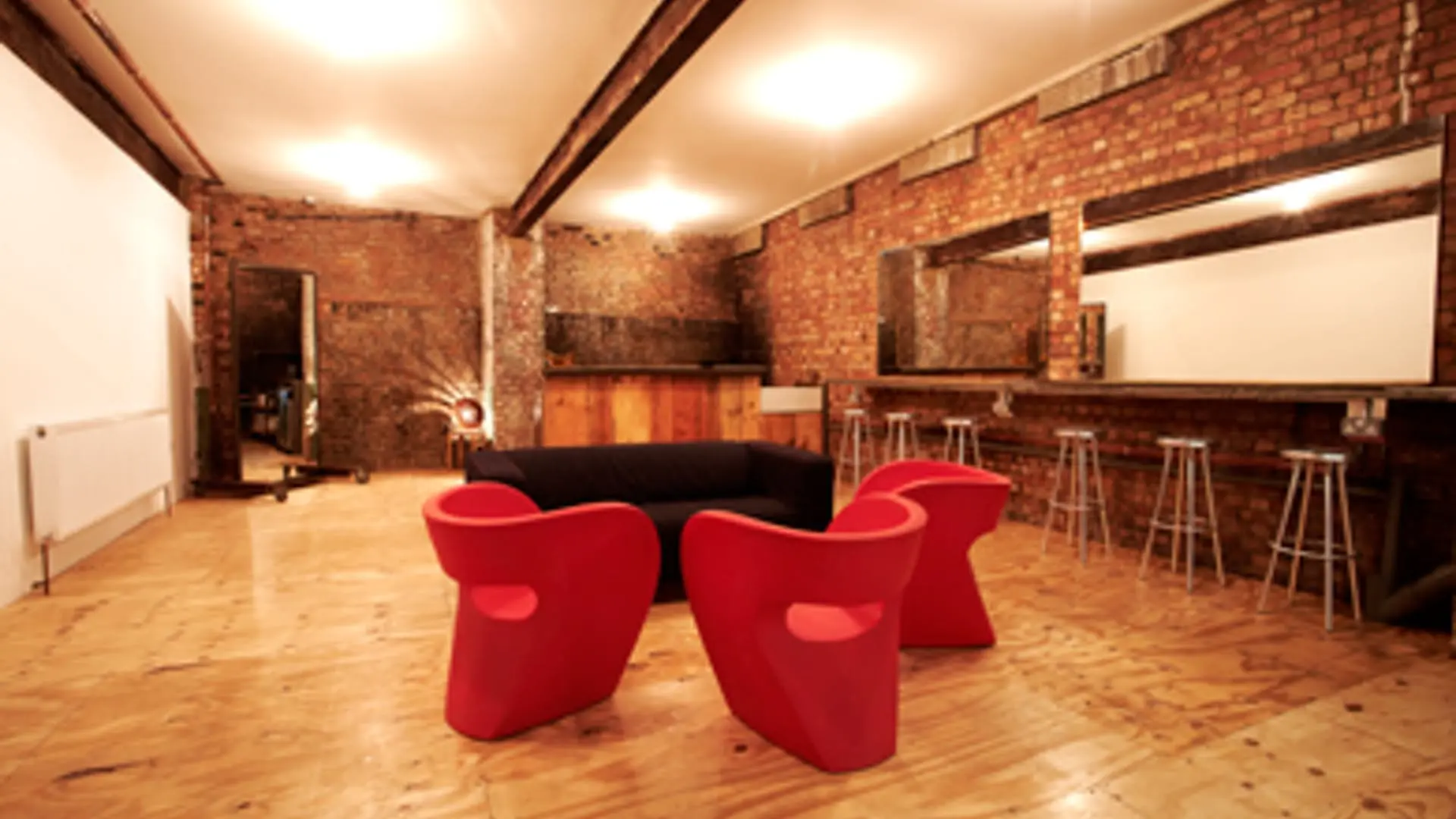 White Rabbit photo #2