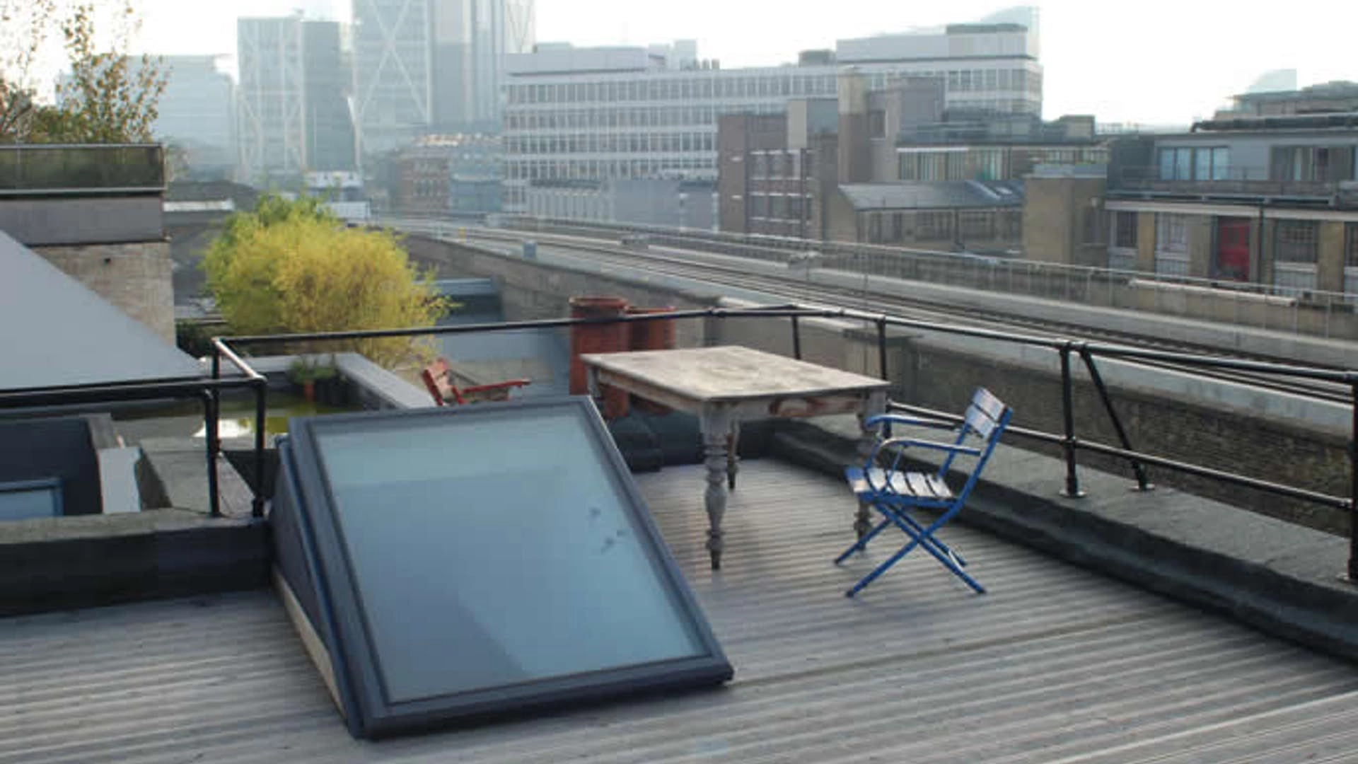 Photo of White Rabbit