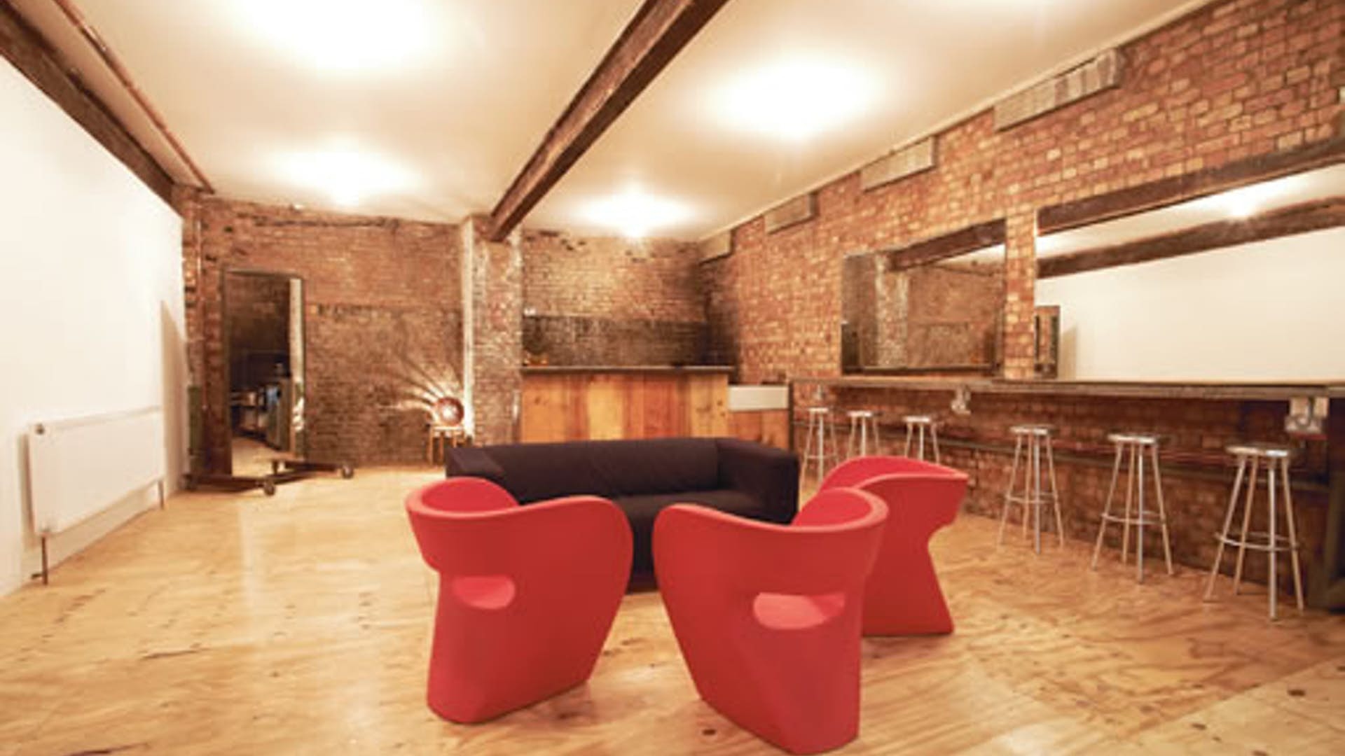 Photo of White Rabbit