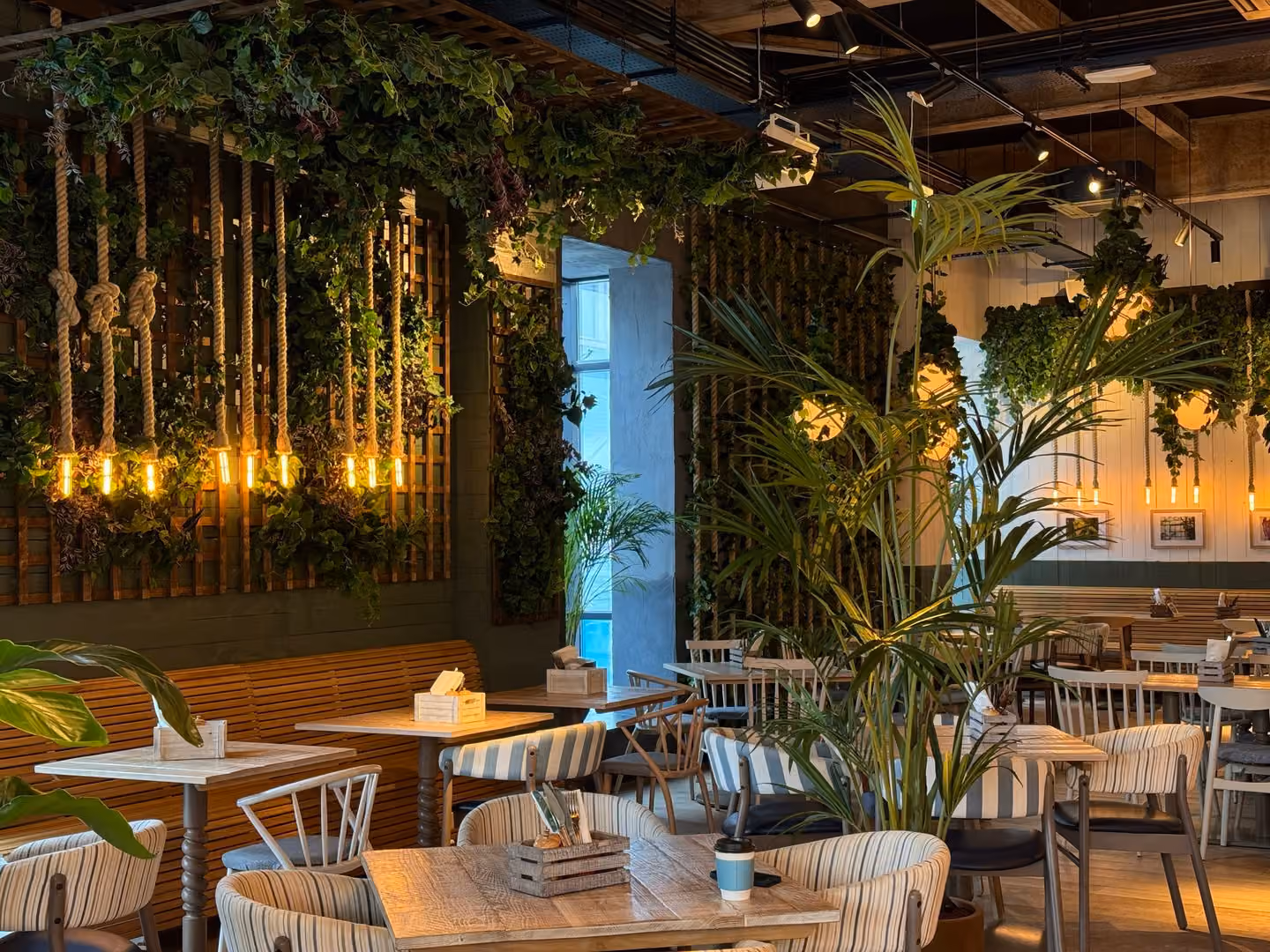 Full Restaurant Hire, The Botanist Cardiff Bay photo #1